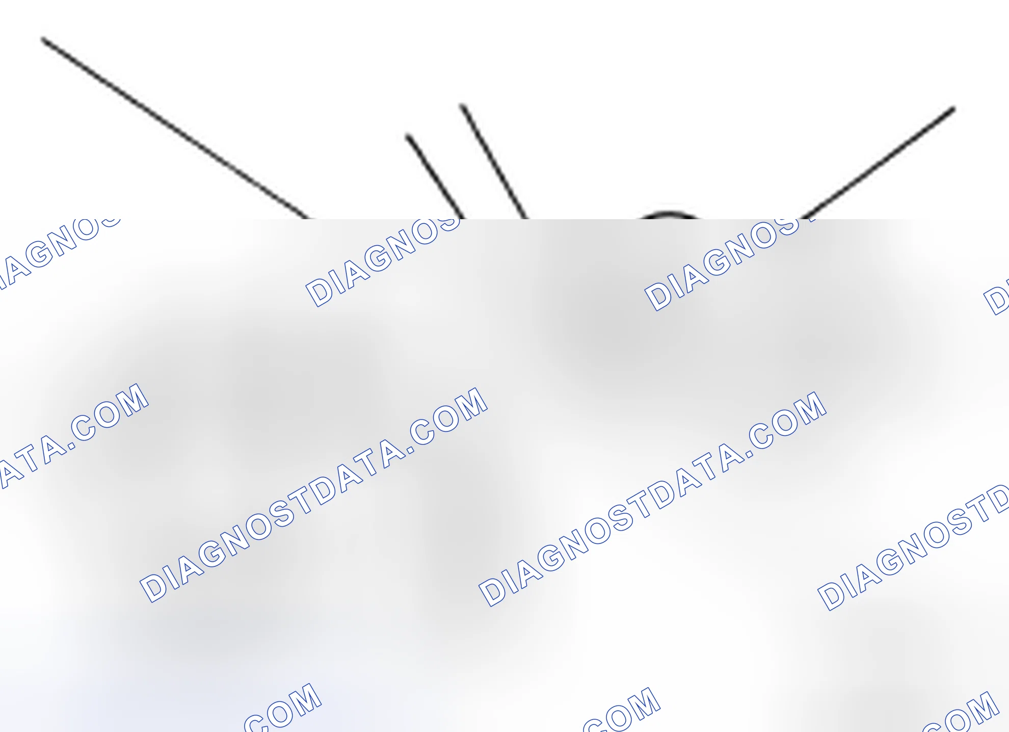 Scheme 41: Changing Brake Fluid