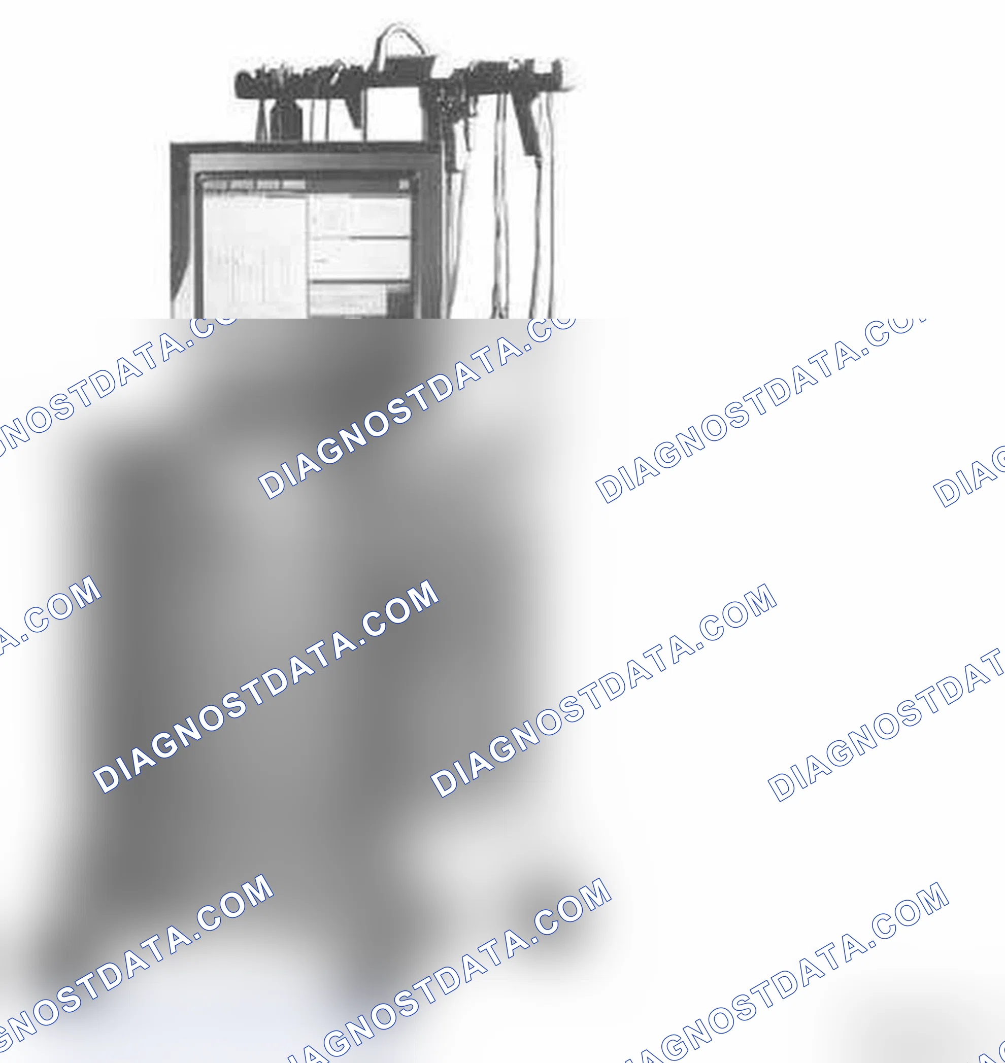 Scheme 63: With BMW Diagnosis Information System (DIS)