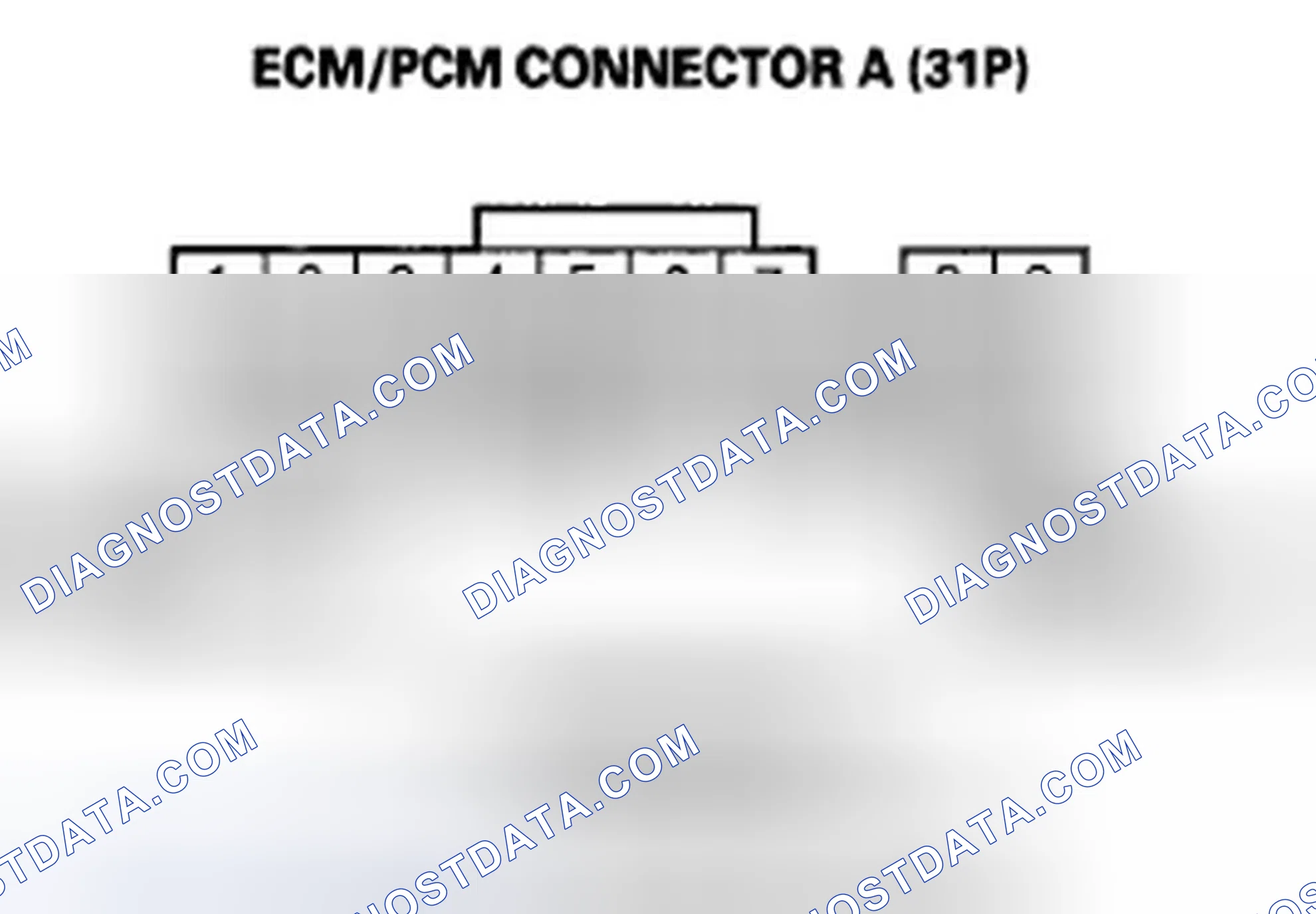 Scheme 373