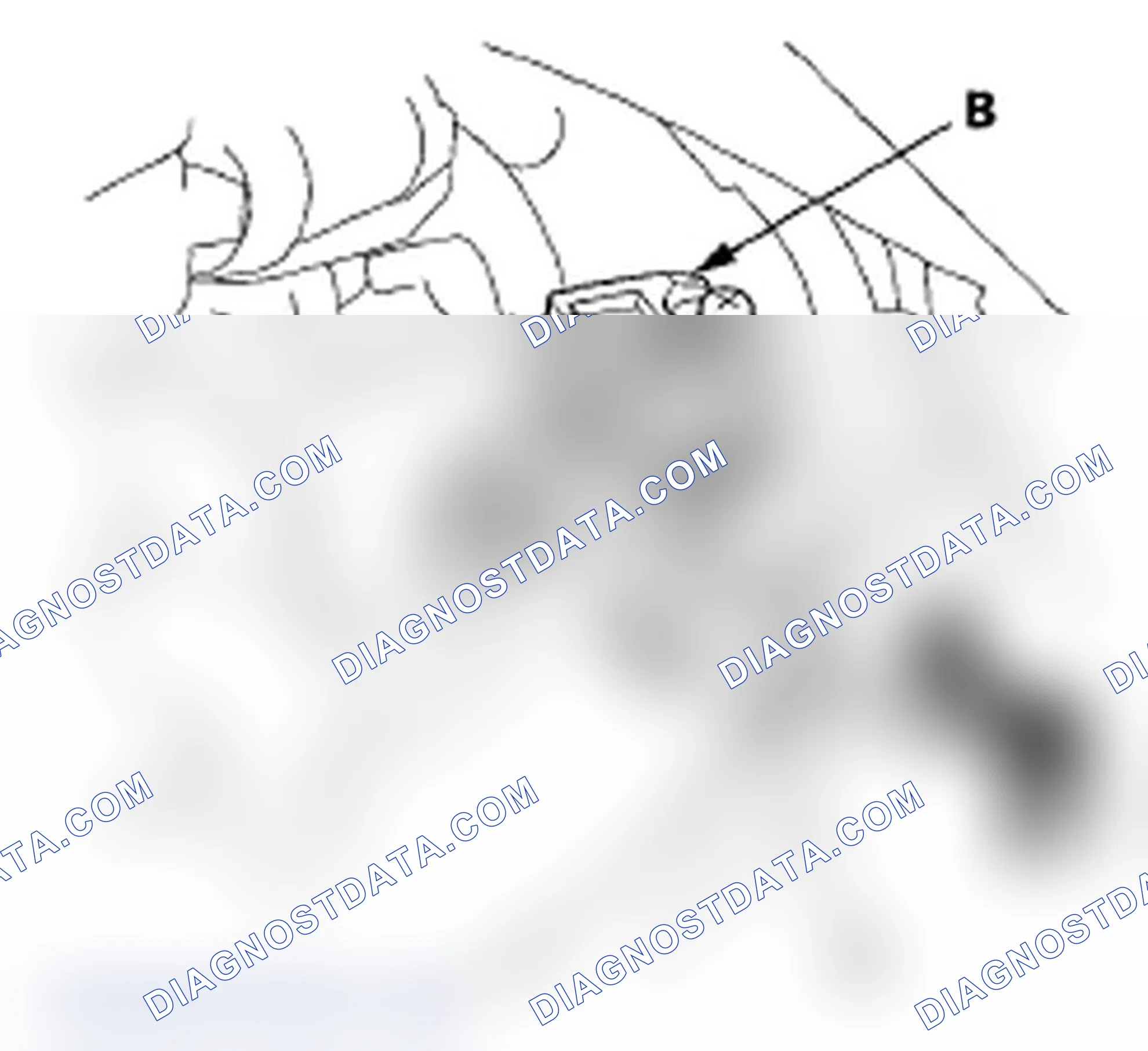 Scheme 110: DTC P15BA: Check Valve (Intake Manifold) Stuck Closed