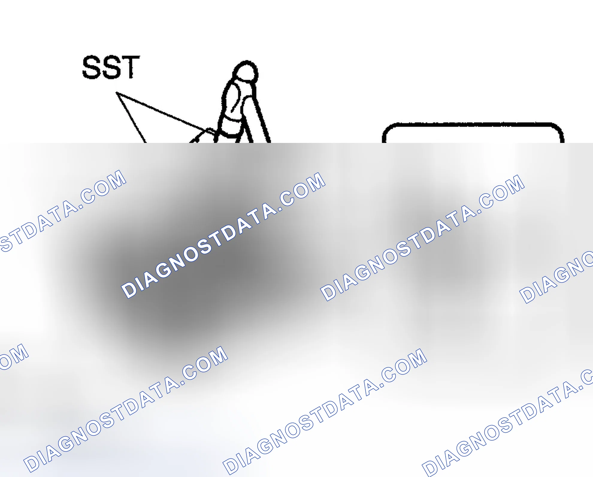 Scheme 301