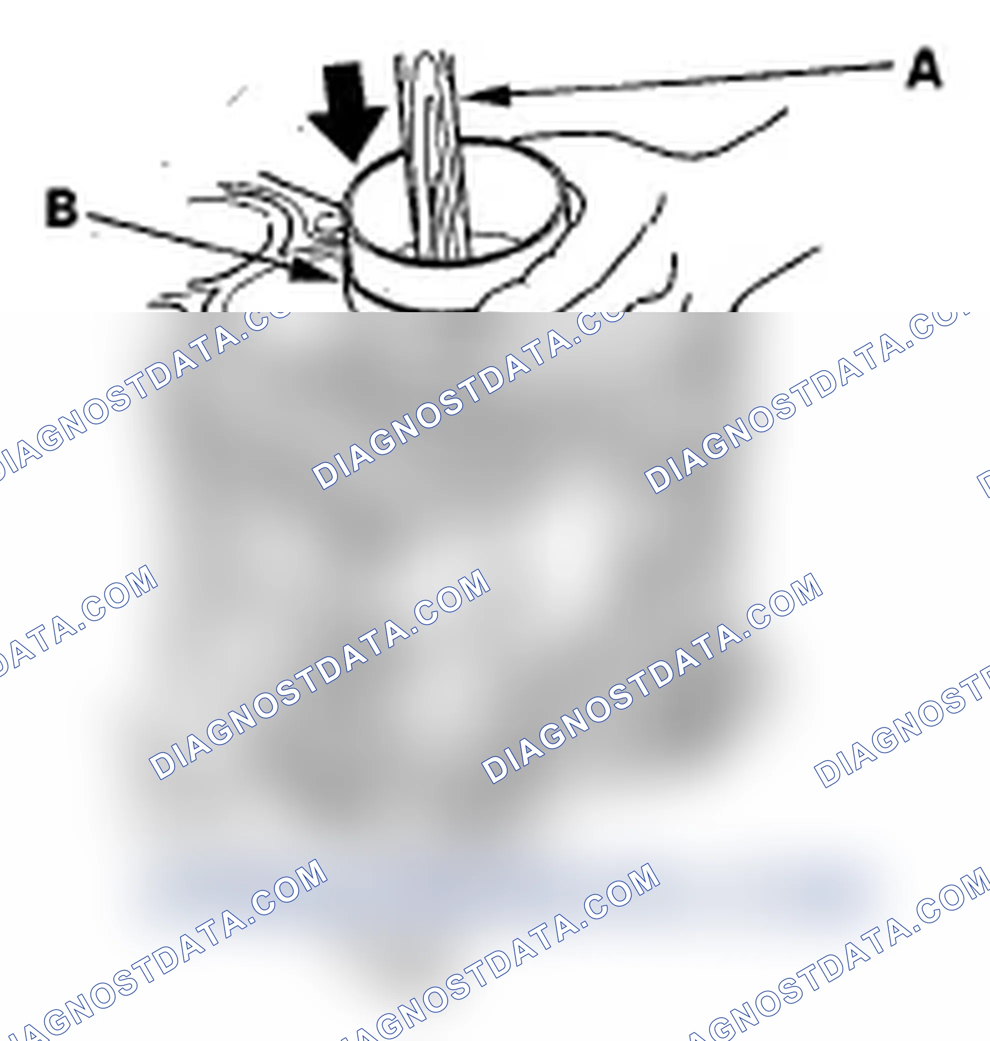 Scheme 255