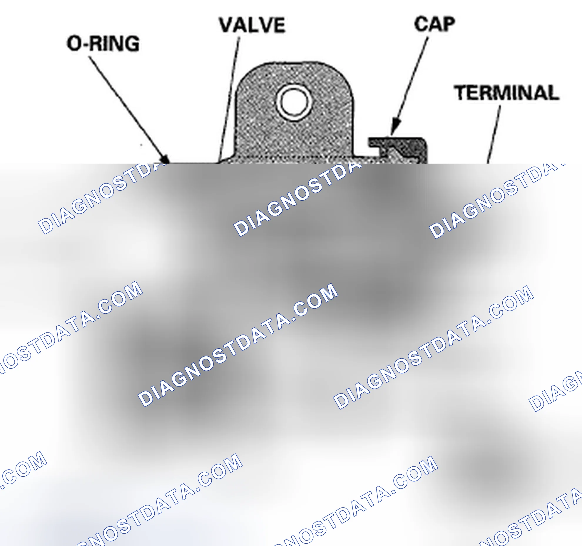 Scheme 57: EVAP Canister Vent Shut Valve