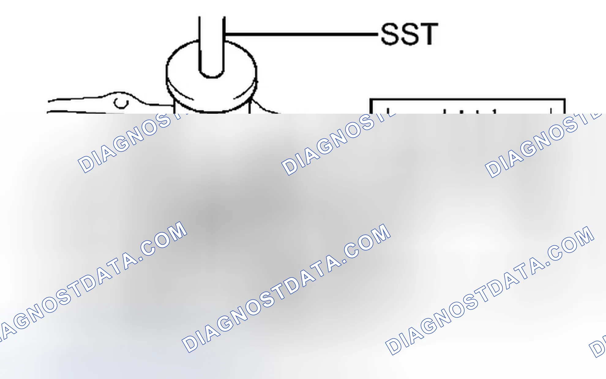 Scheme 257