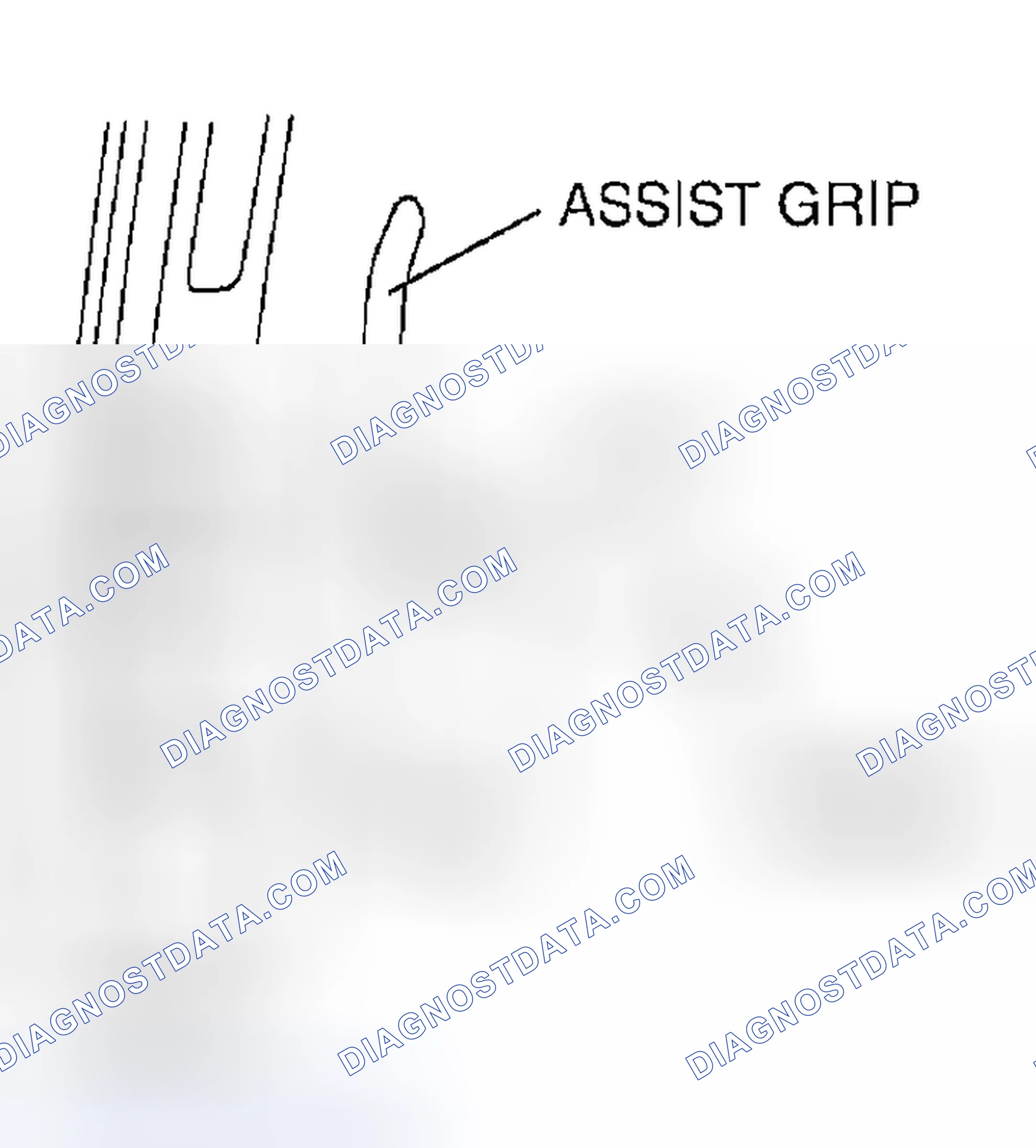 Scheme 40: ASSIST HANDLE REMOVAL/INSTALLATION