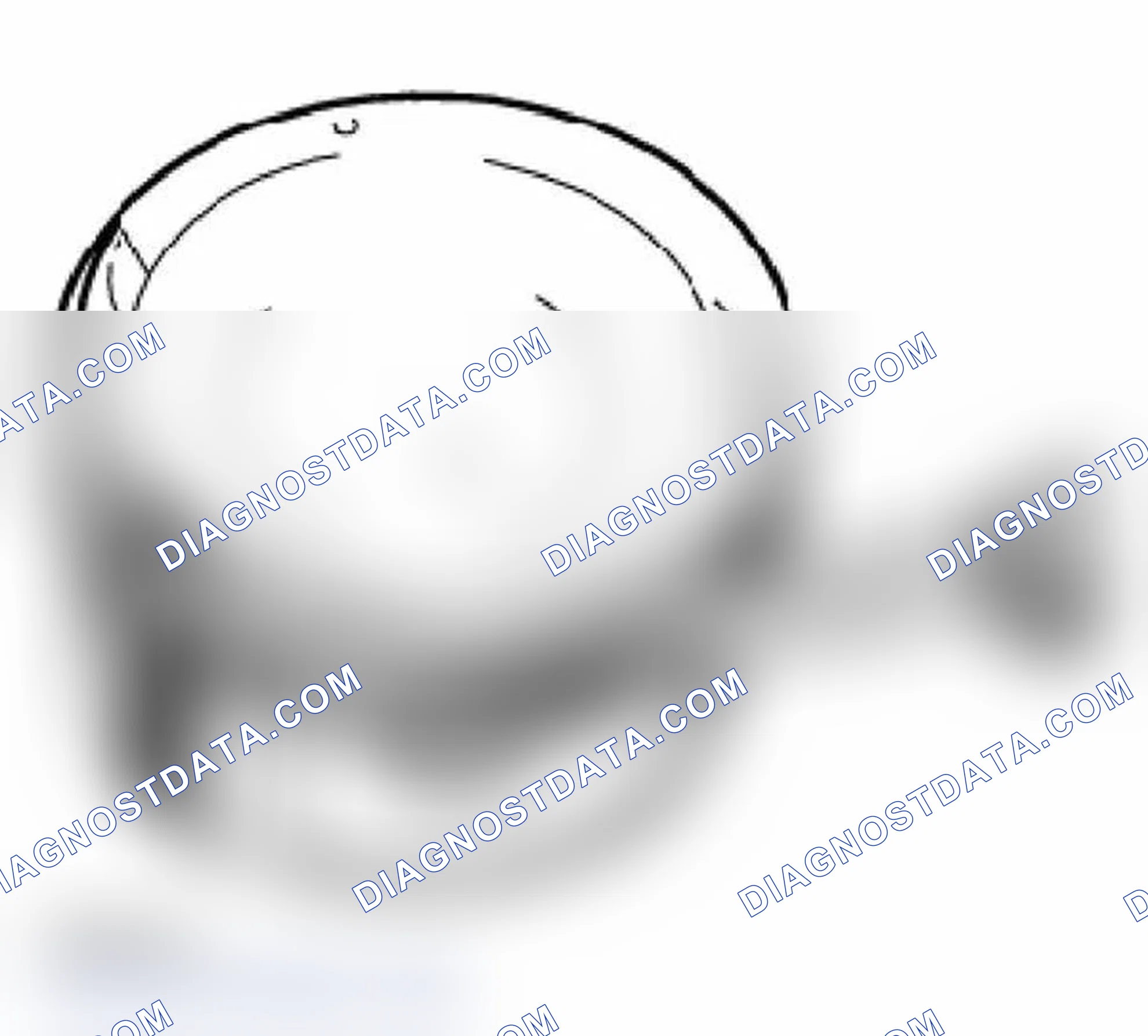 Scheme 18: Piston Ring Measurements