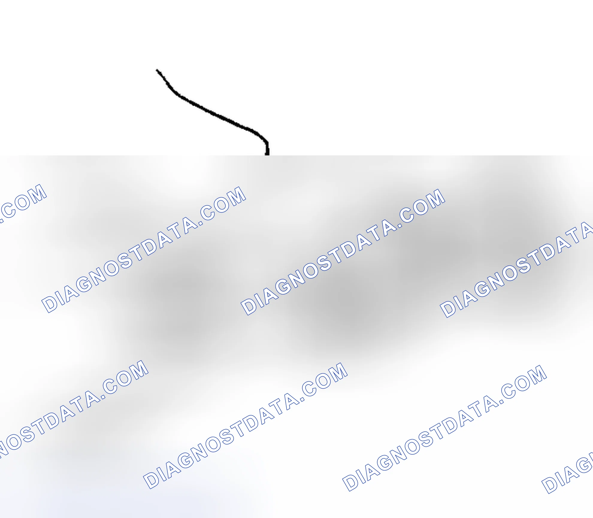Scheme 31: Radiator Cap Inspection