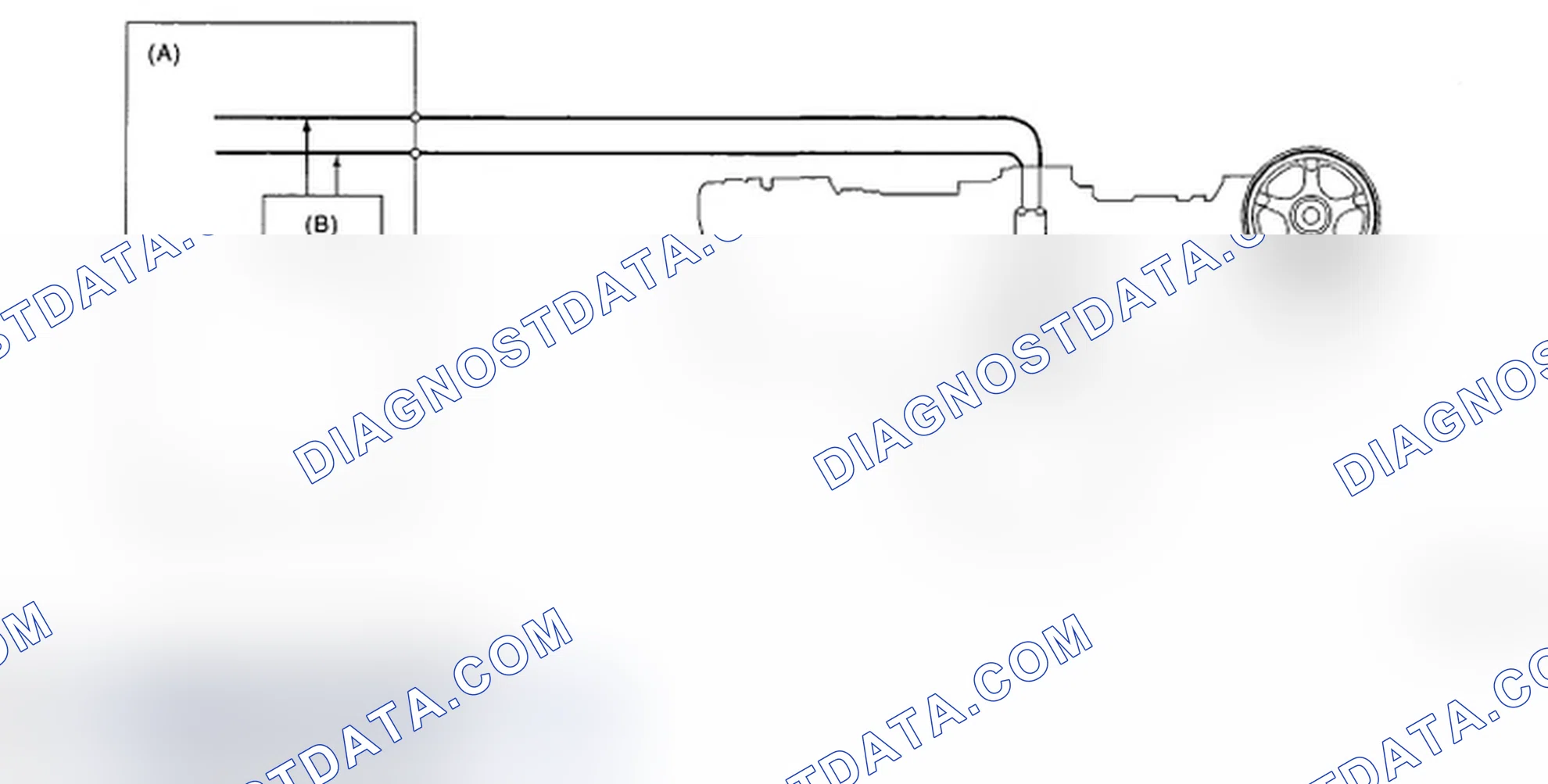 Scheme 257: Diagnostic Method Description