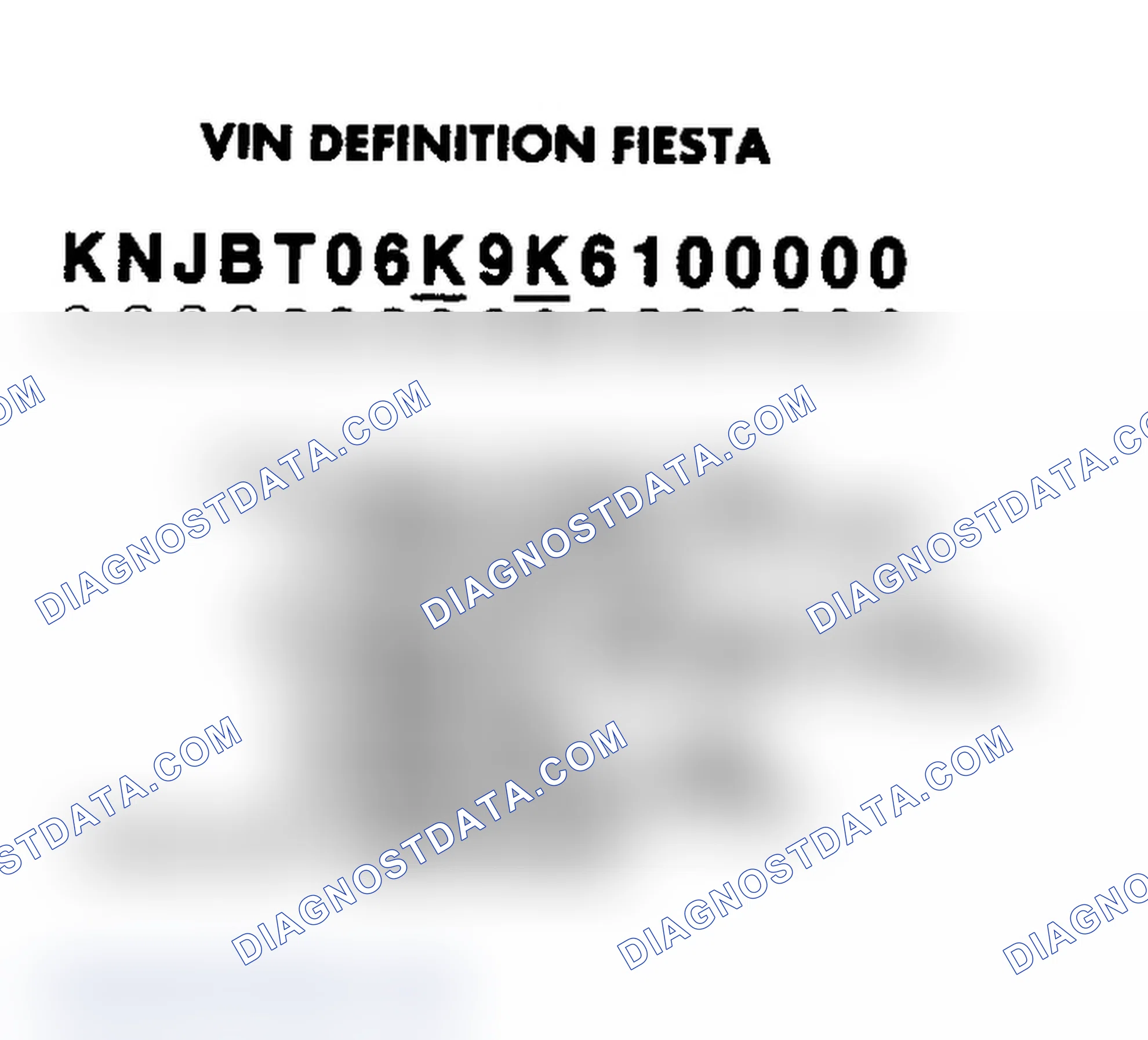 Scheme 1: VIN Identification (Fiesta)