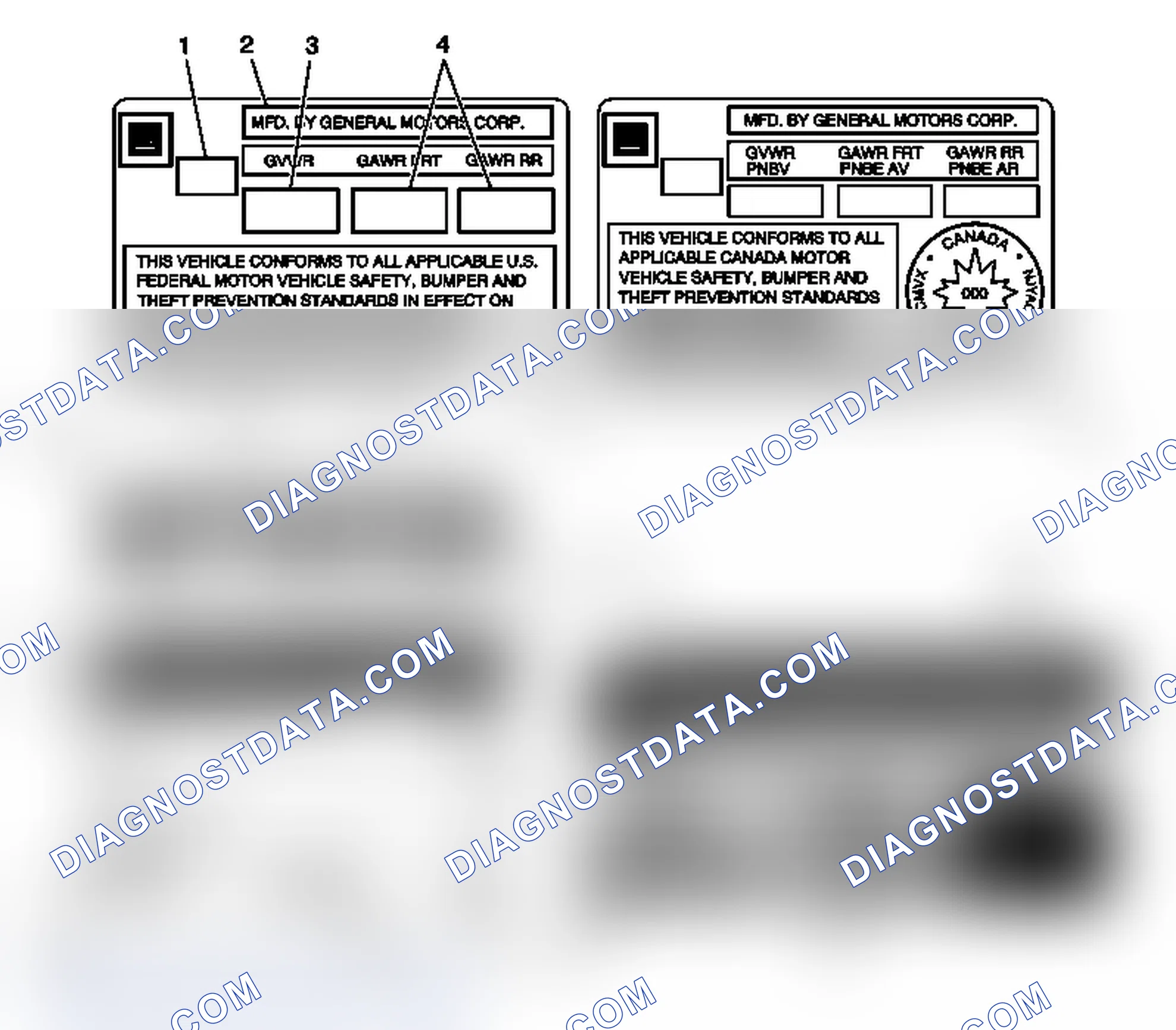Scheme 31: Vehicle Certification, Tire Placard, Anti-Theft, and Service Parts ID Label