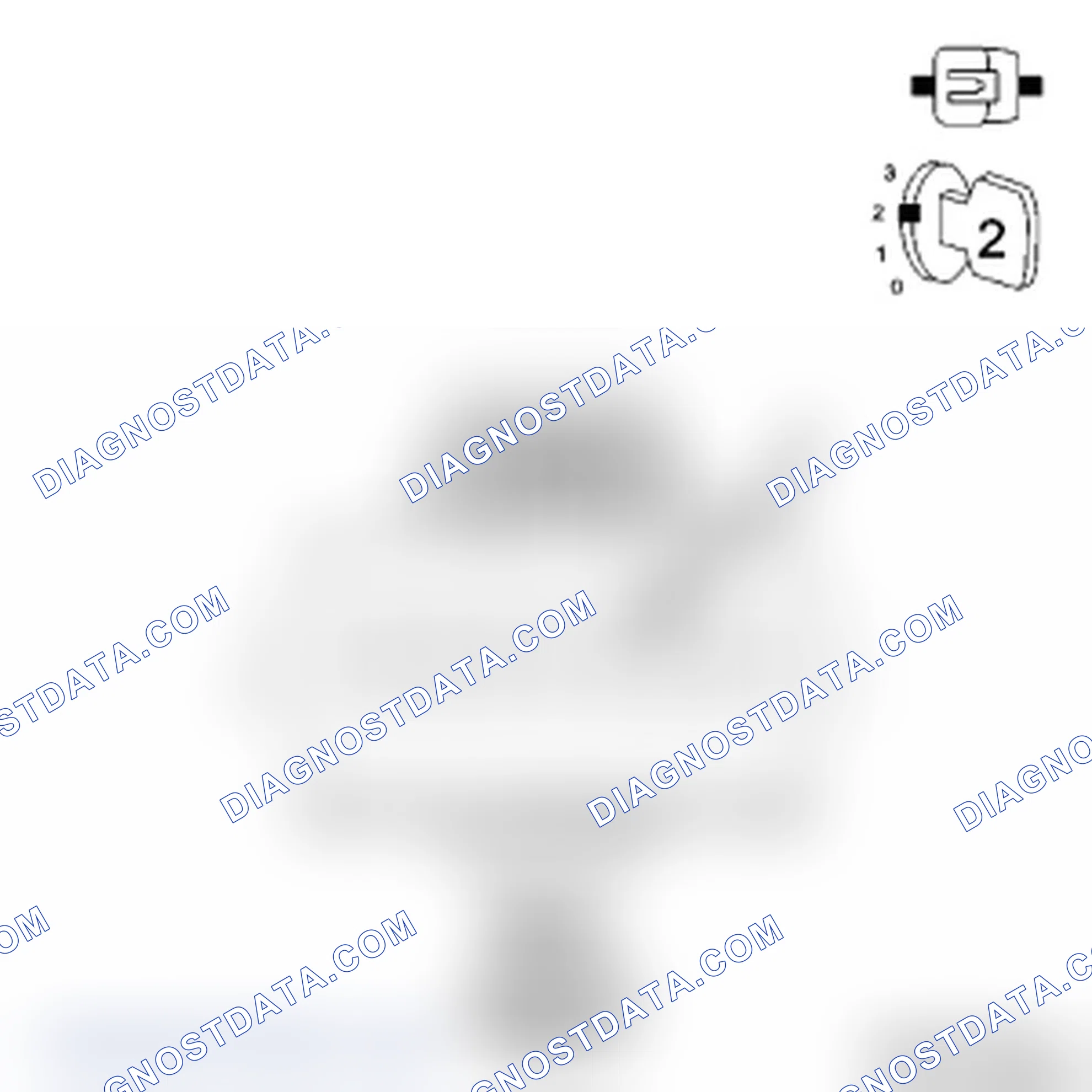 Scheme 22: Diagnostic Test