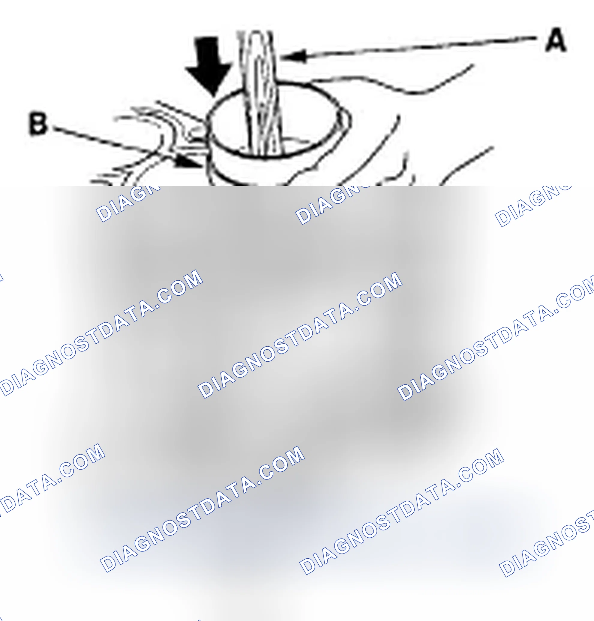 Scheme 245