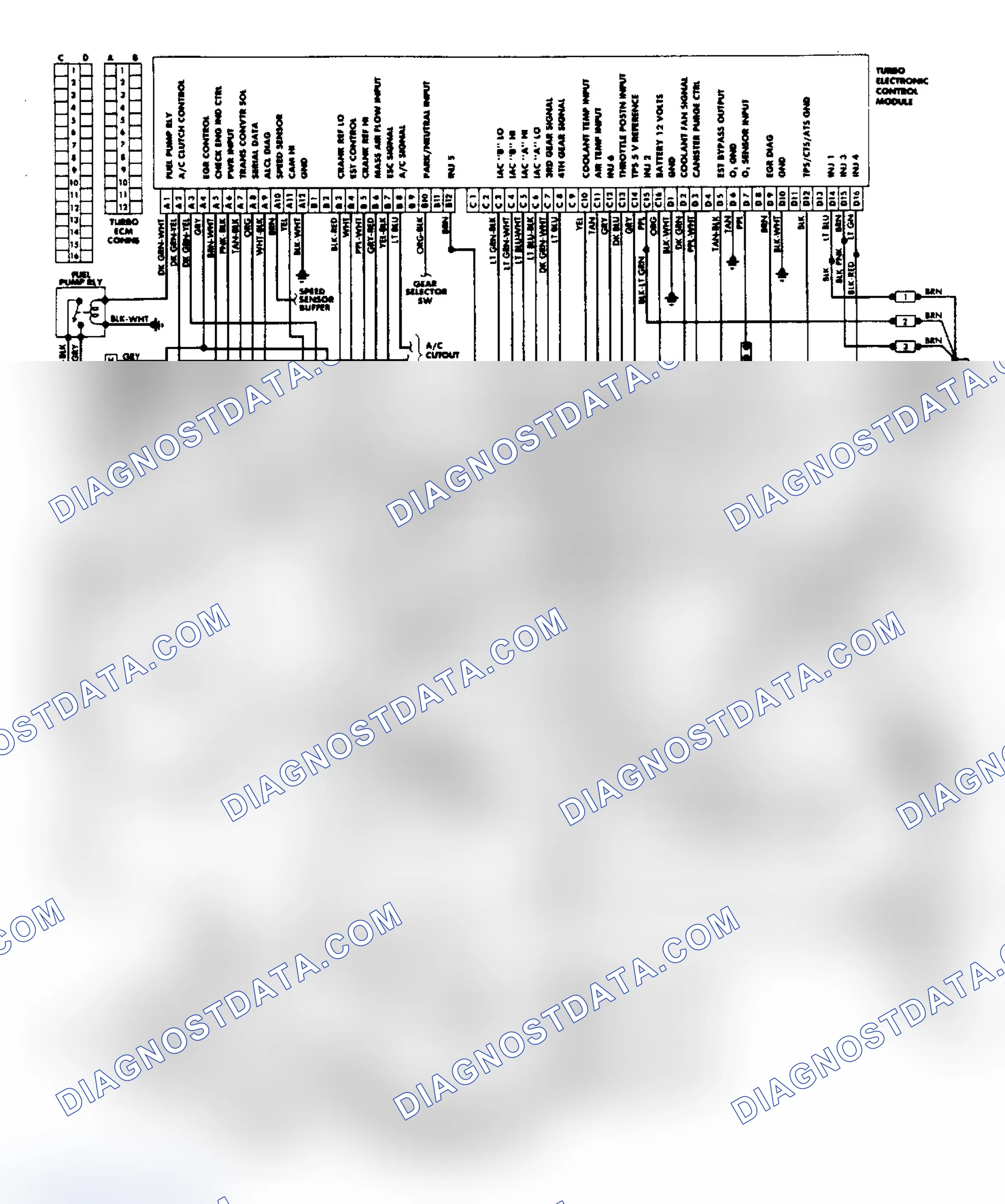 Scheme 41: Wiring Diagram: Regal 3.8L Turbo PFI System