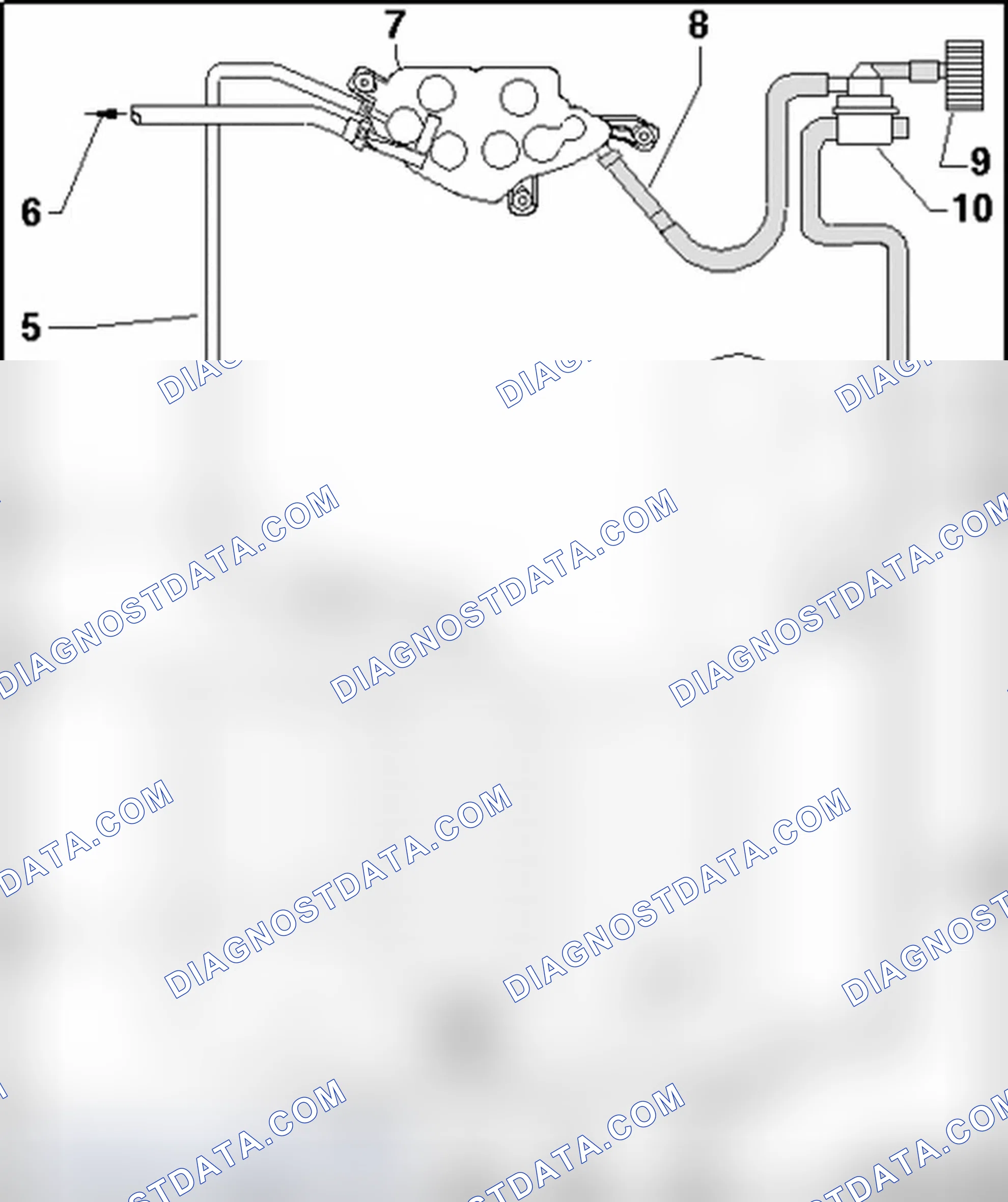 Scheme 594: Hose routing, EVAP canister/leak detection system (8-cyl. FSI engine (Audi RS4))