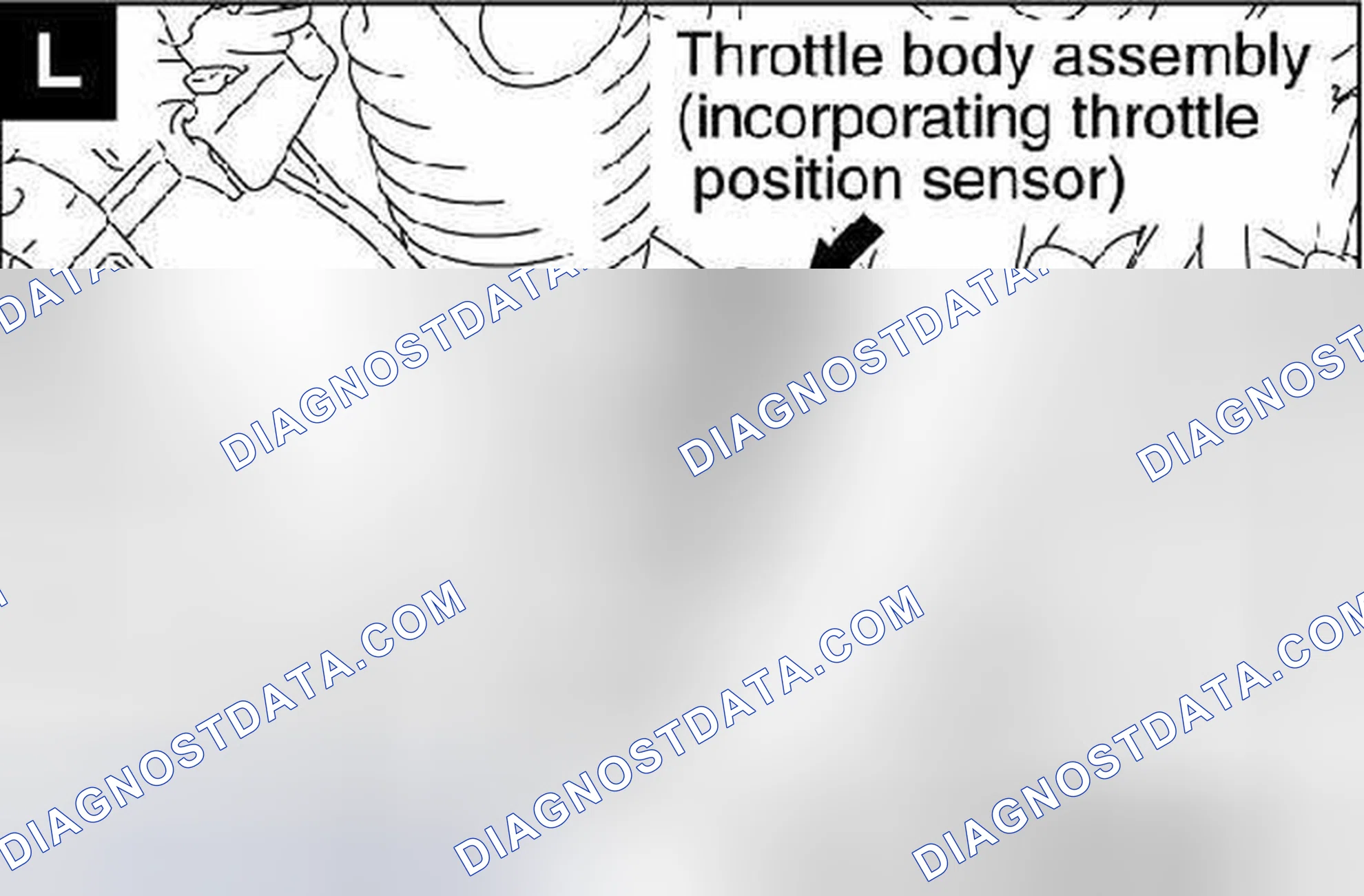 Scheme 143