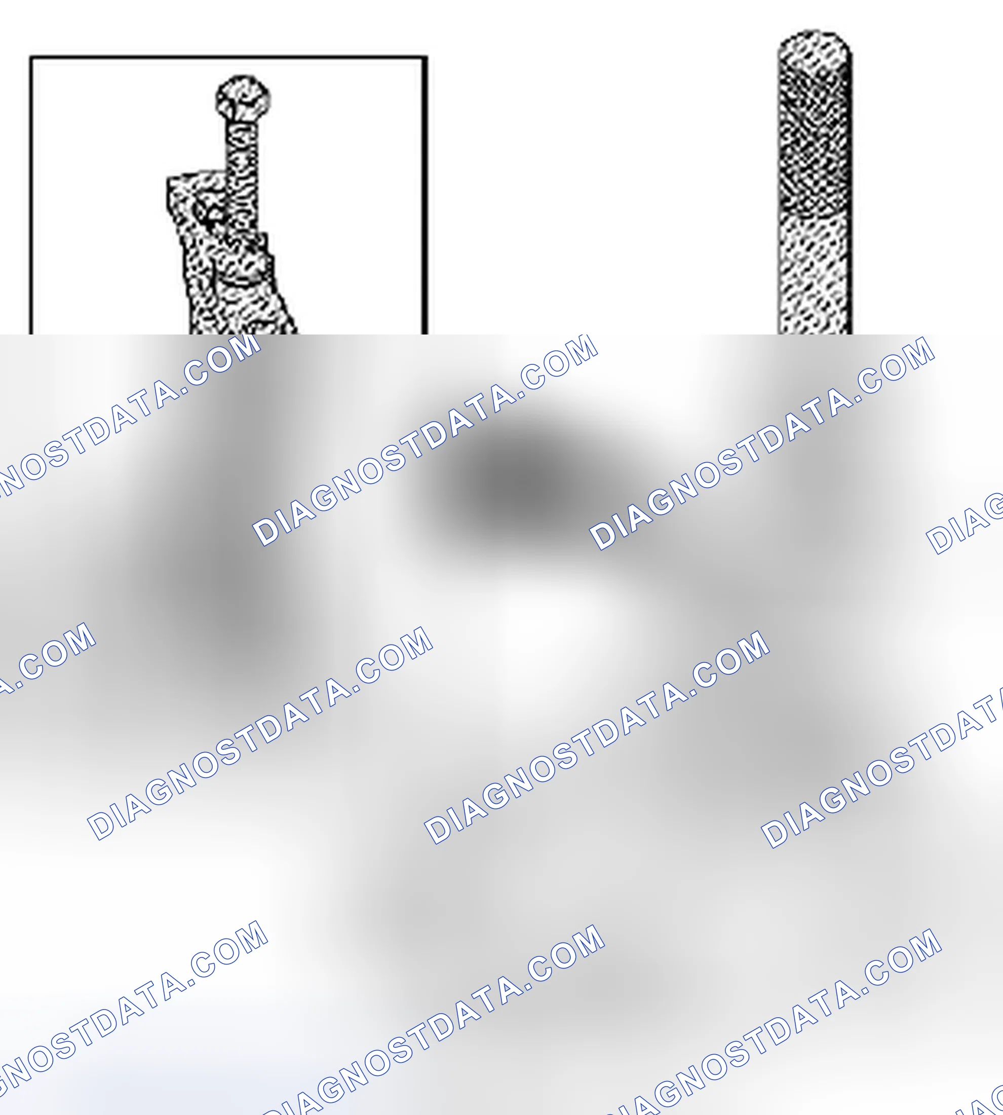 Scheme 23: Input Shaft Seal Replacement - Left