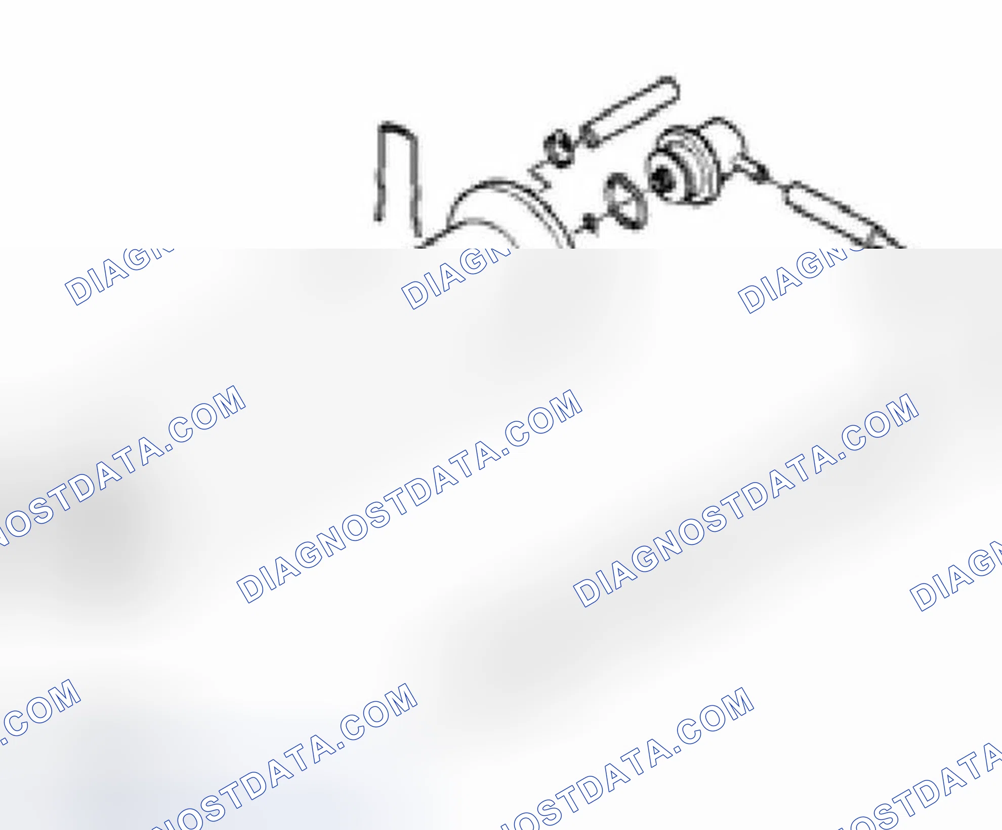 Scheme 427: Non Return Fuel Rail System Diagram