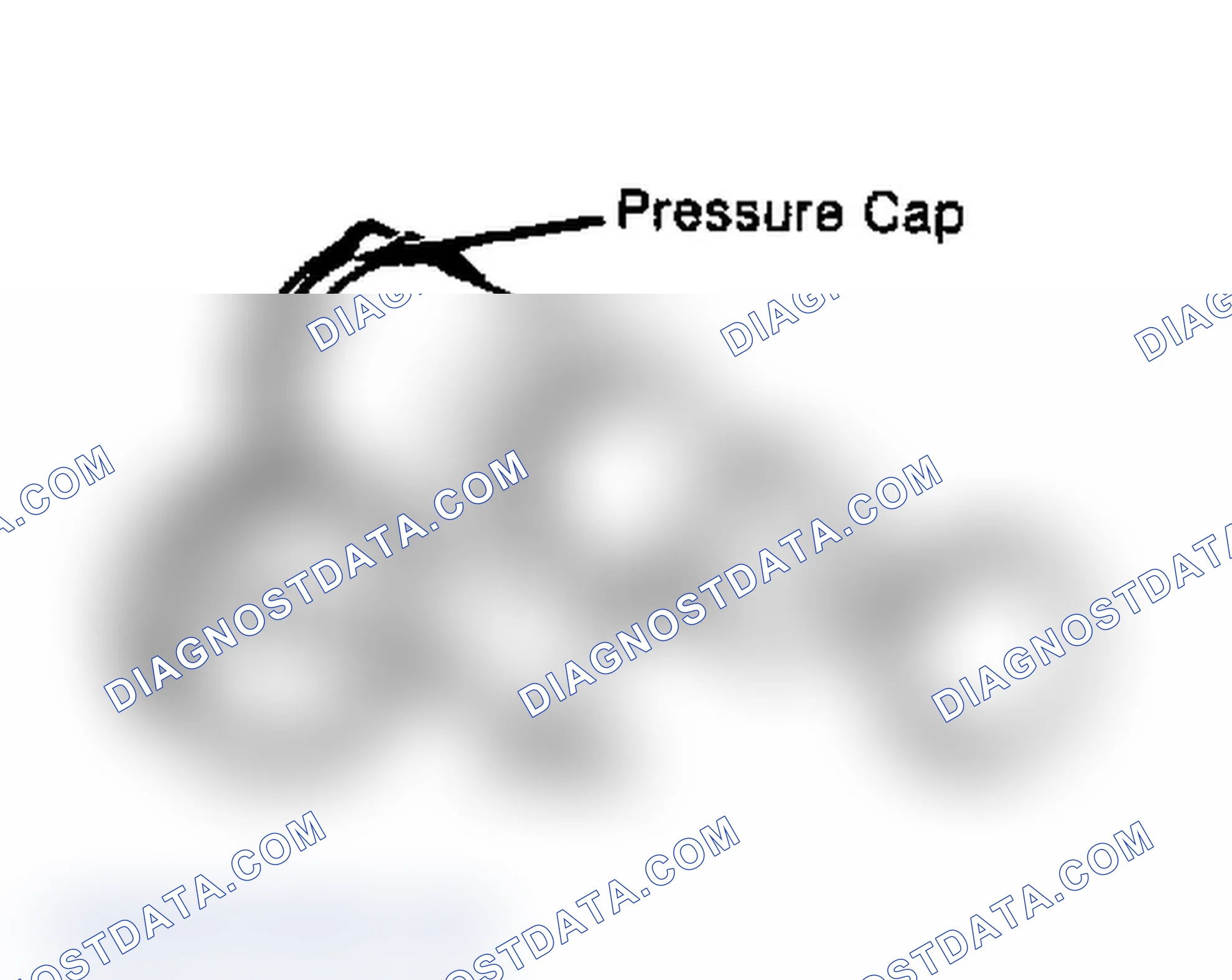 Scheme 2: Testing Radiator Pressure Cap Wet cap gasket before testing.