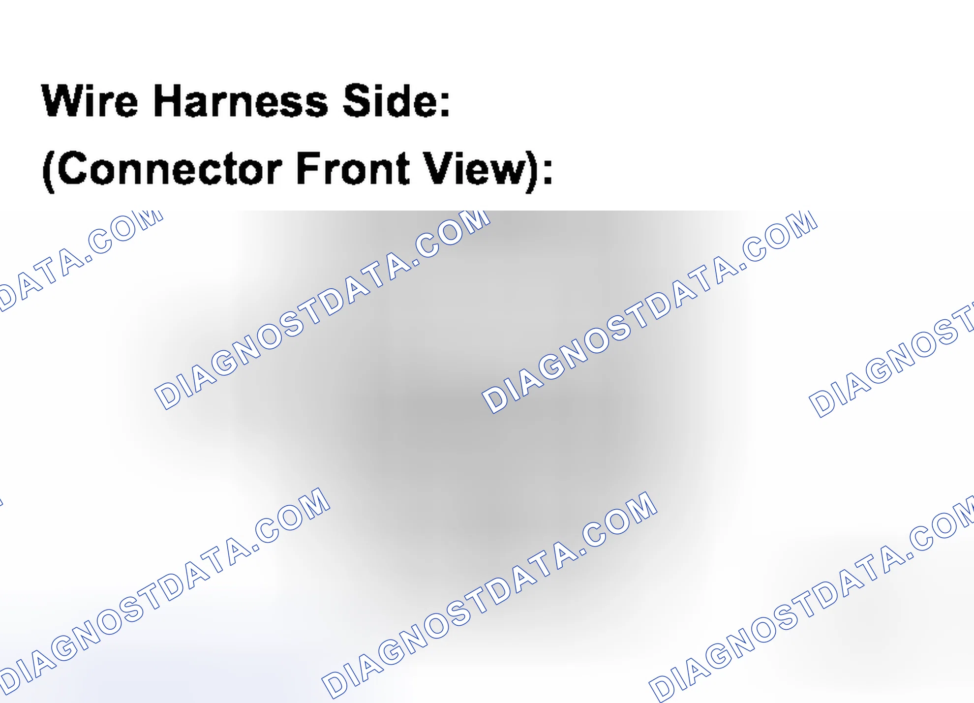 Scheme 6: INSPECTION PROCEDURE