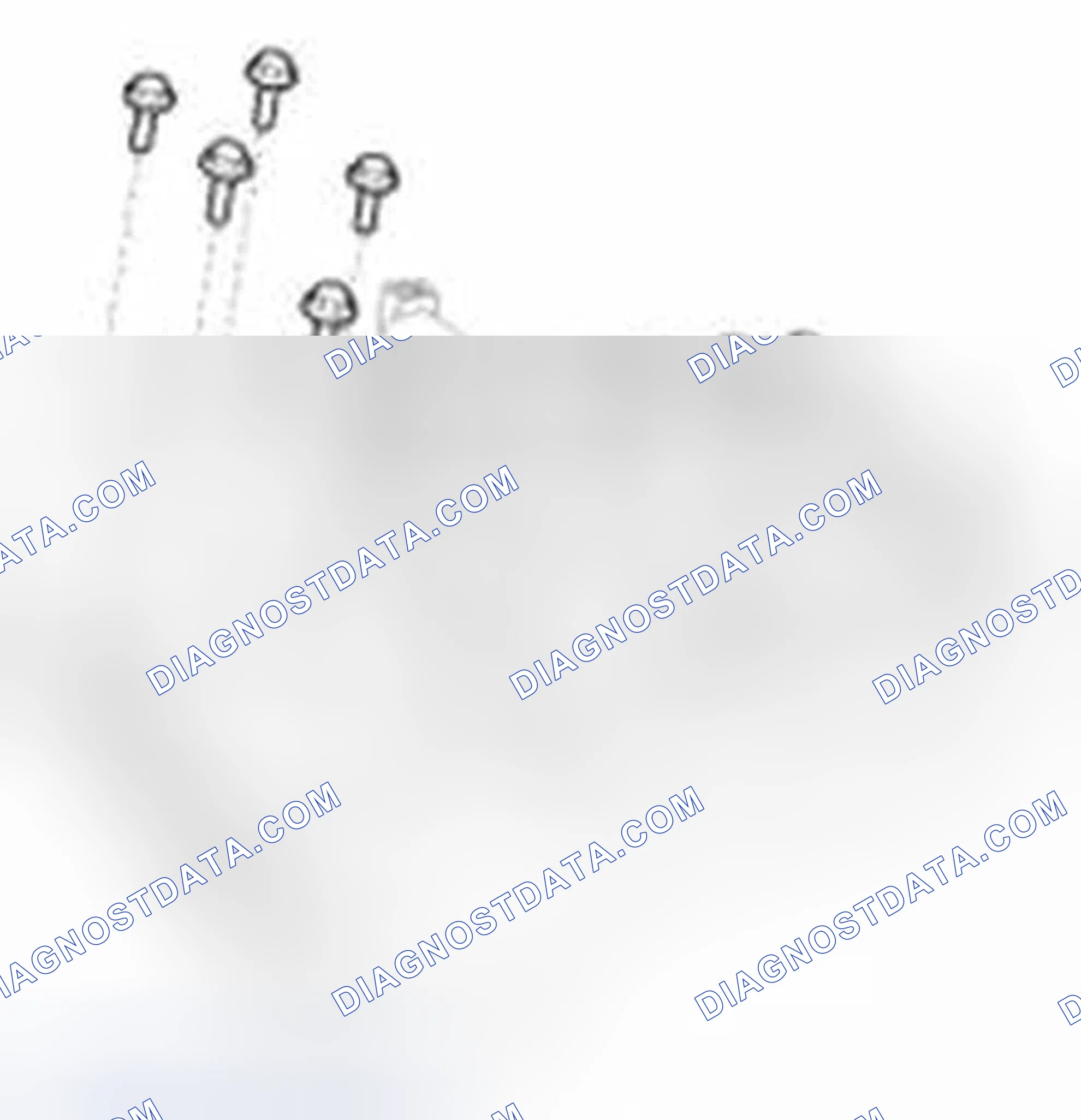 Scheme 177