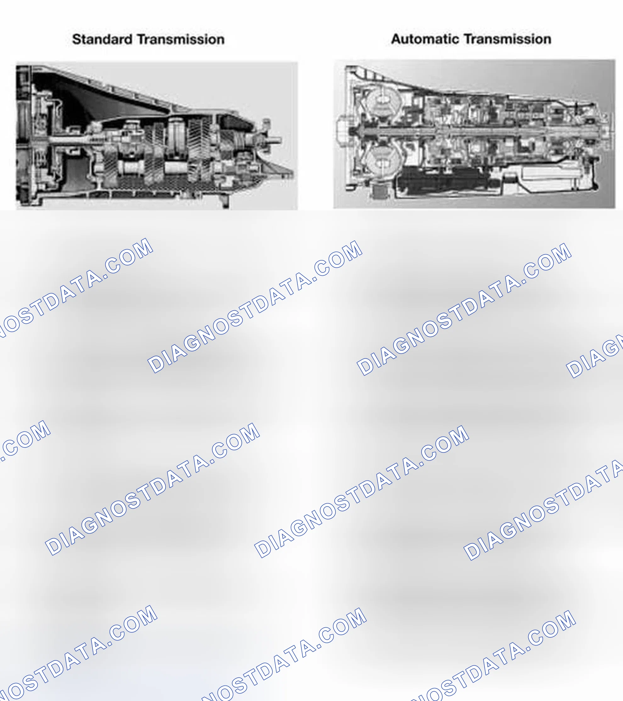 Scheme 6: STANDARD/AUTOMATIC TRANSMISSION