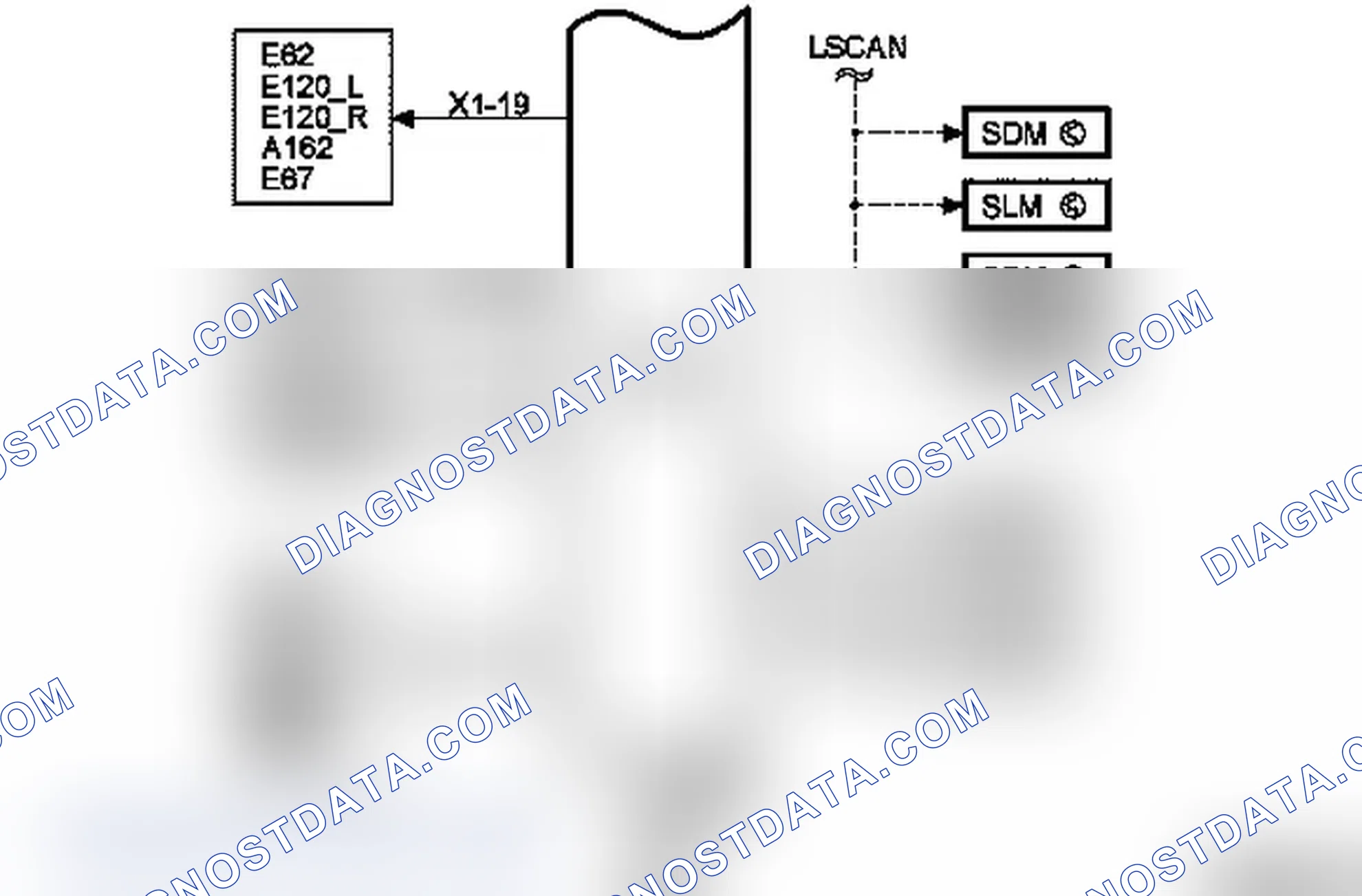 Body Control Module BCM - Function