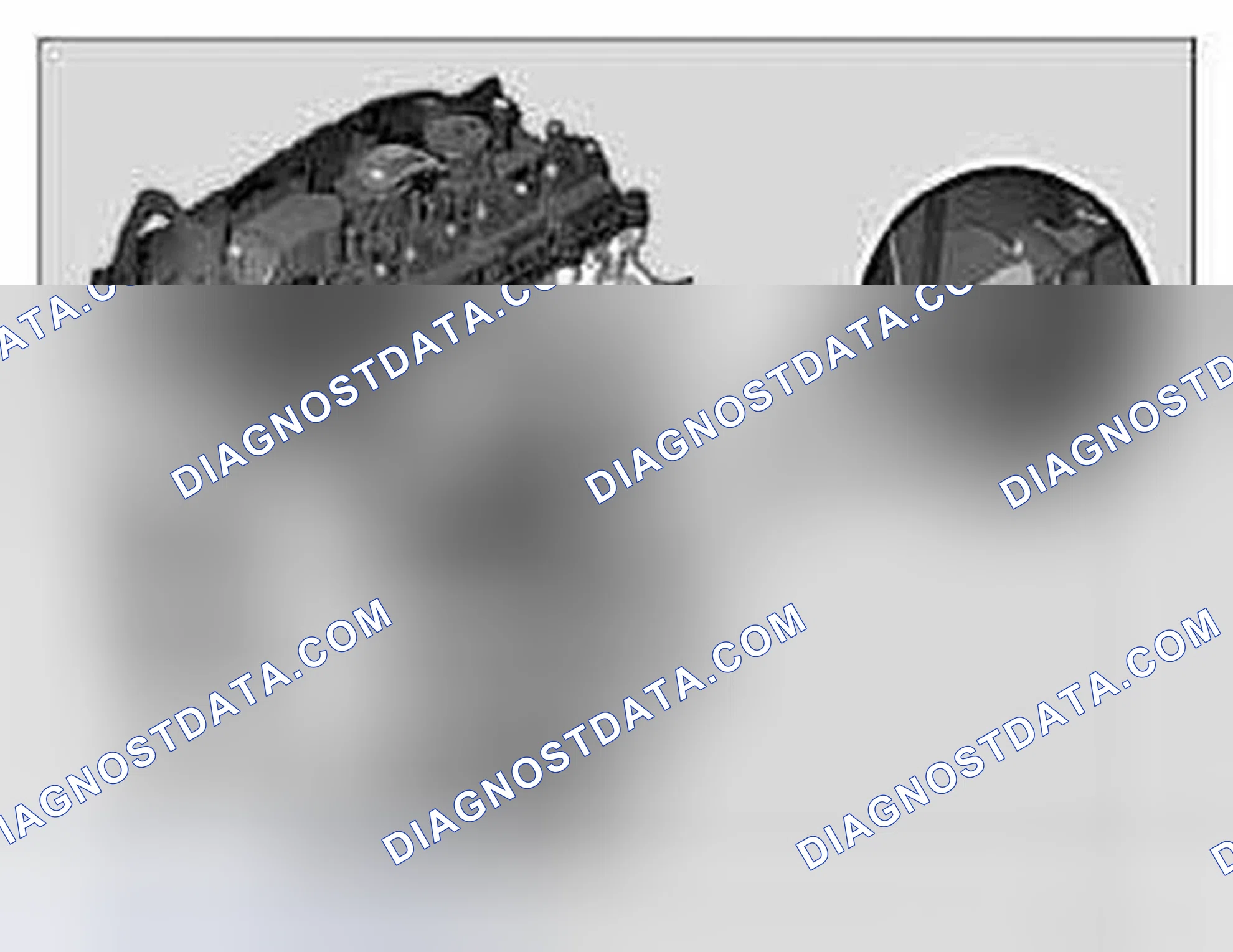 Scheme 882: Engine identification