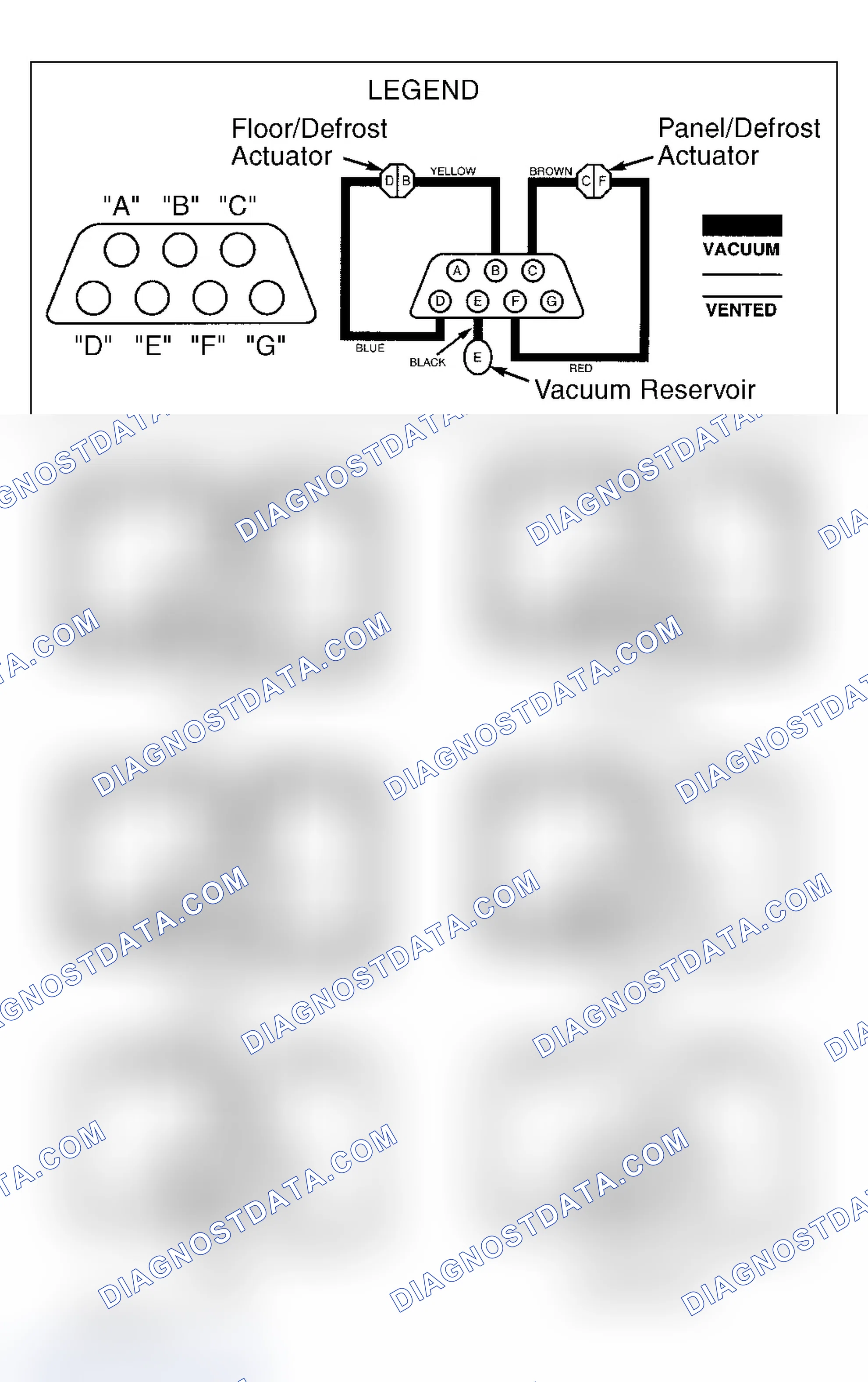 Scheme 1: VACUUM HOSE DIAGRAM(S)