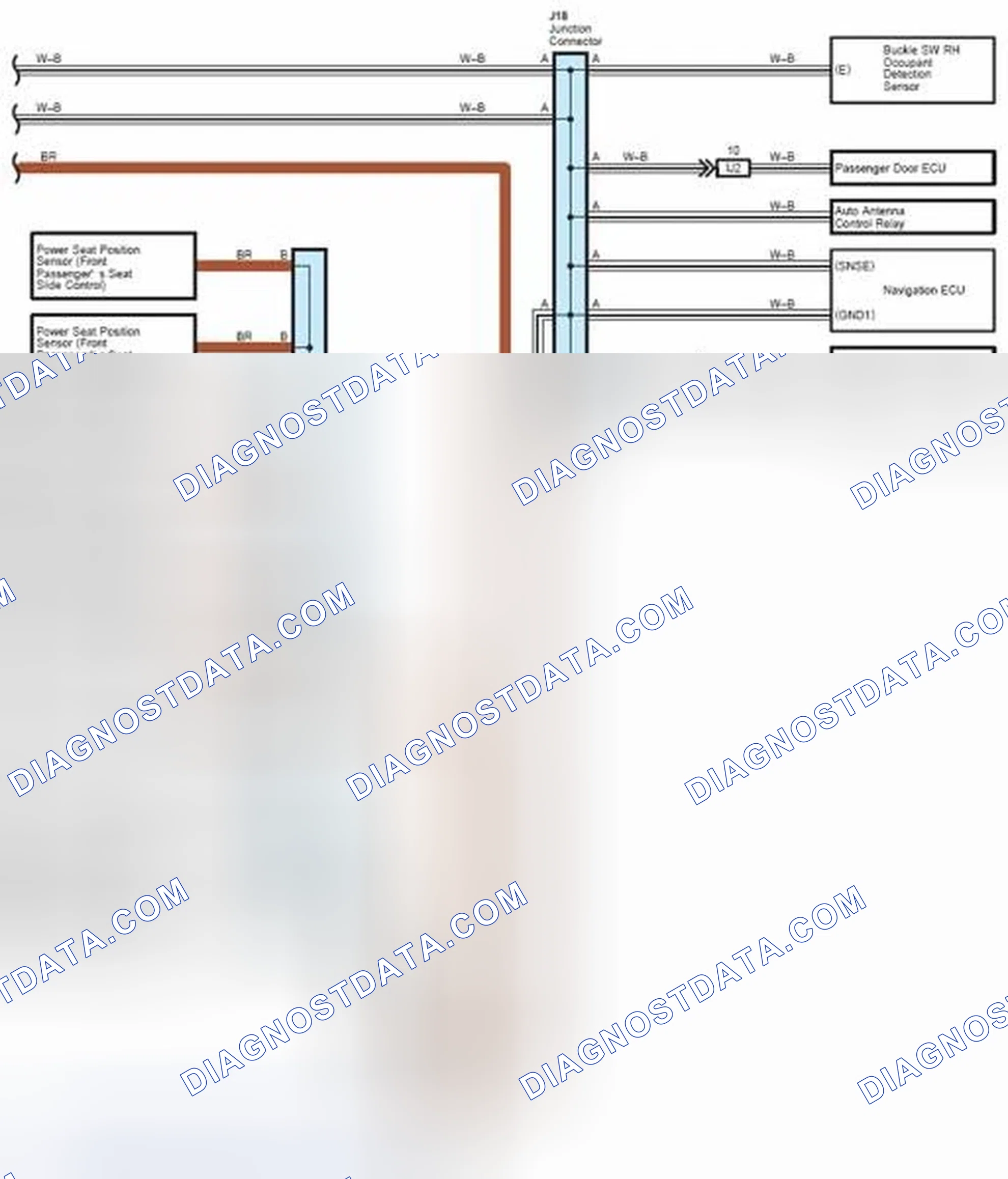 Scheme 318