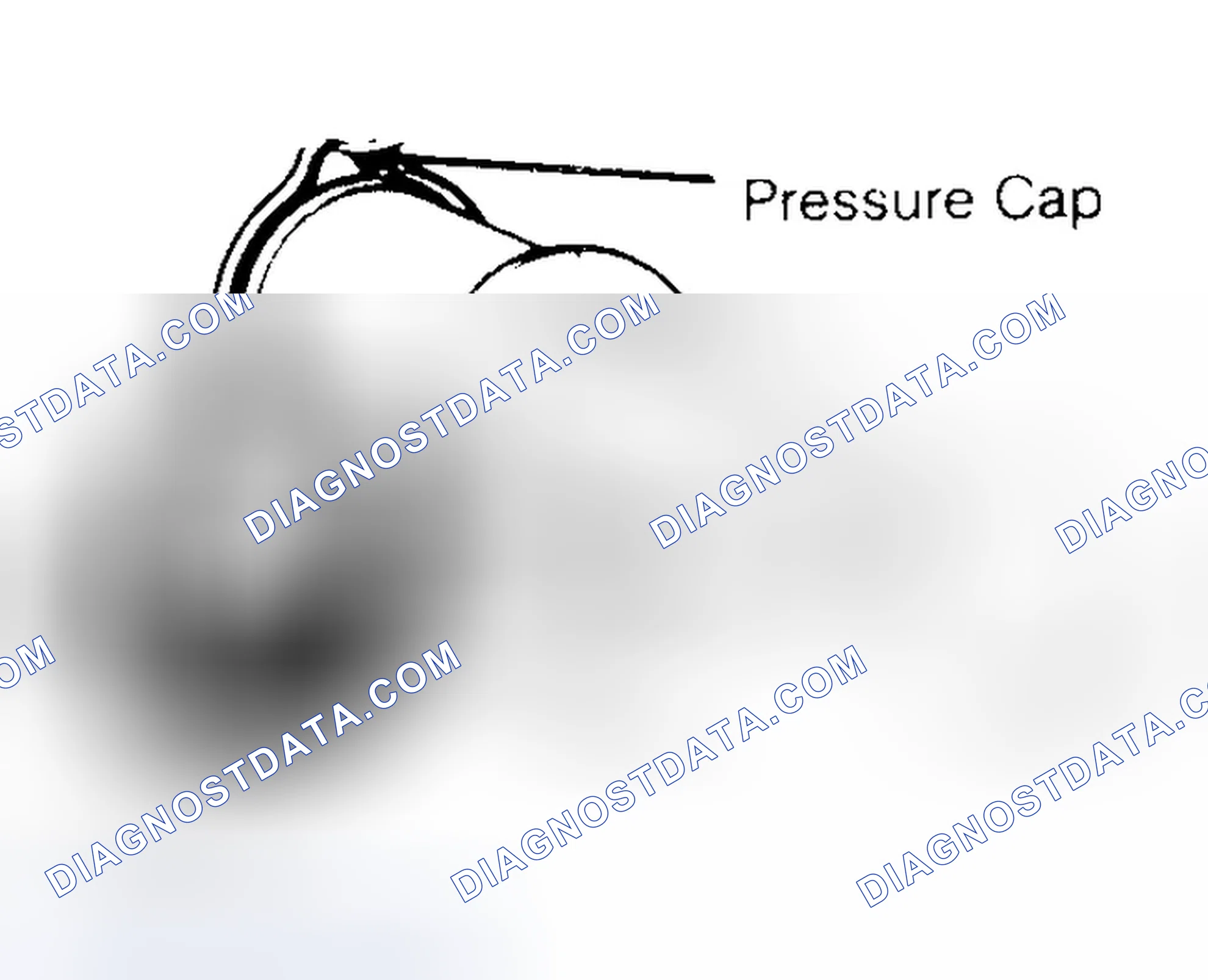 Scheme 2: Pressure Testing Radiator Cap