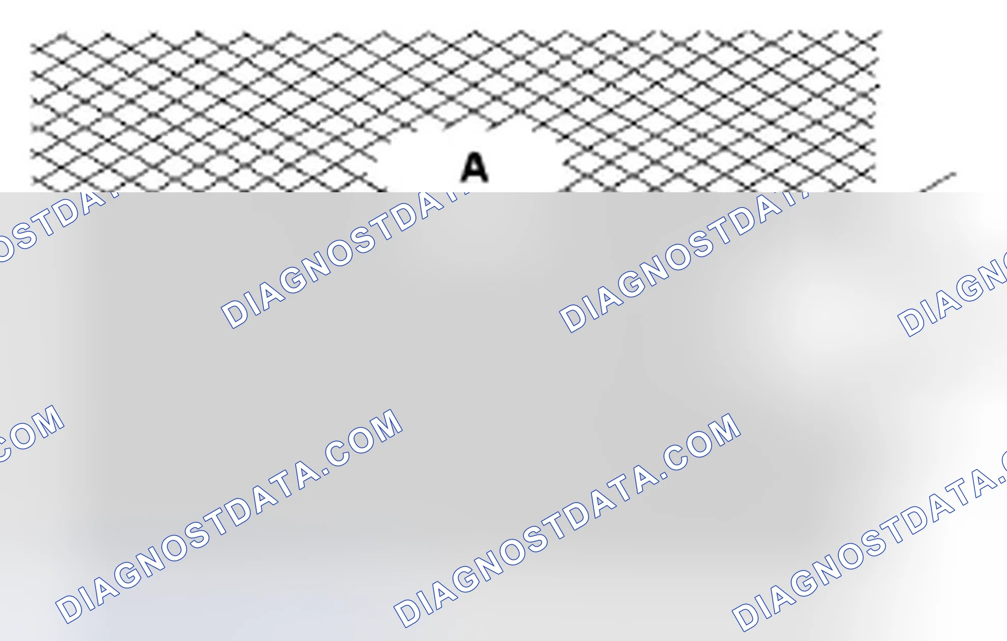 Scheme 625: Cylinder Bore Honing