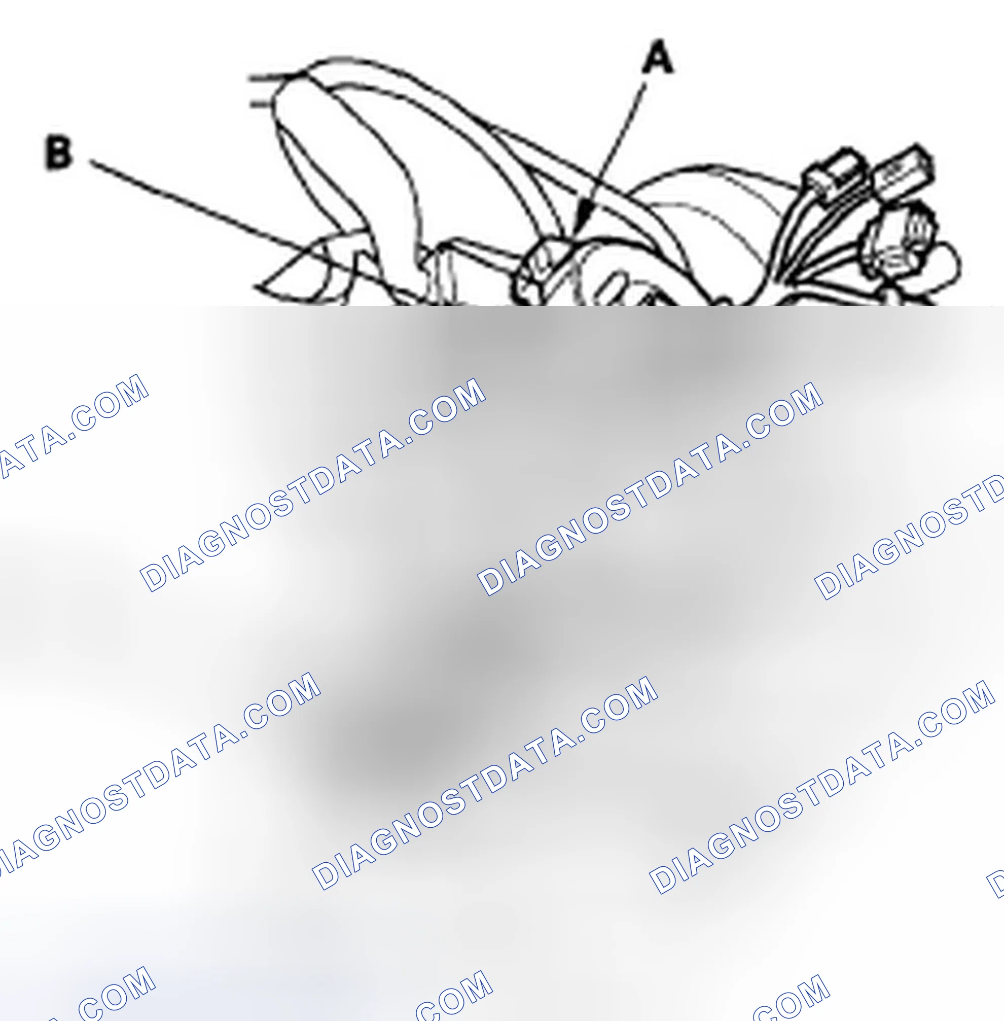 Scheme 304