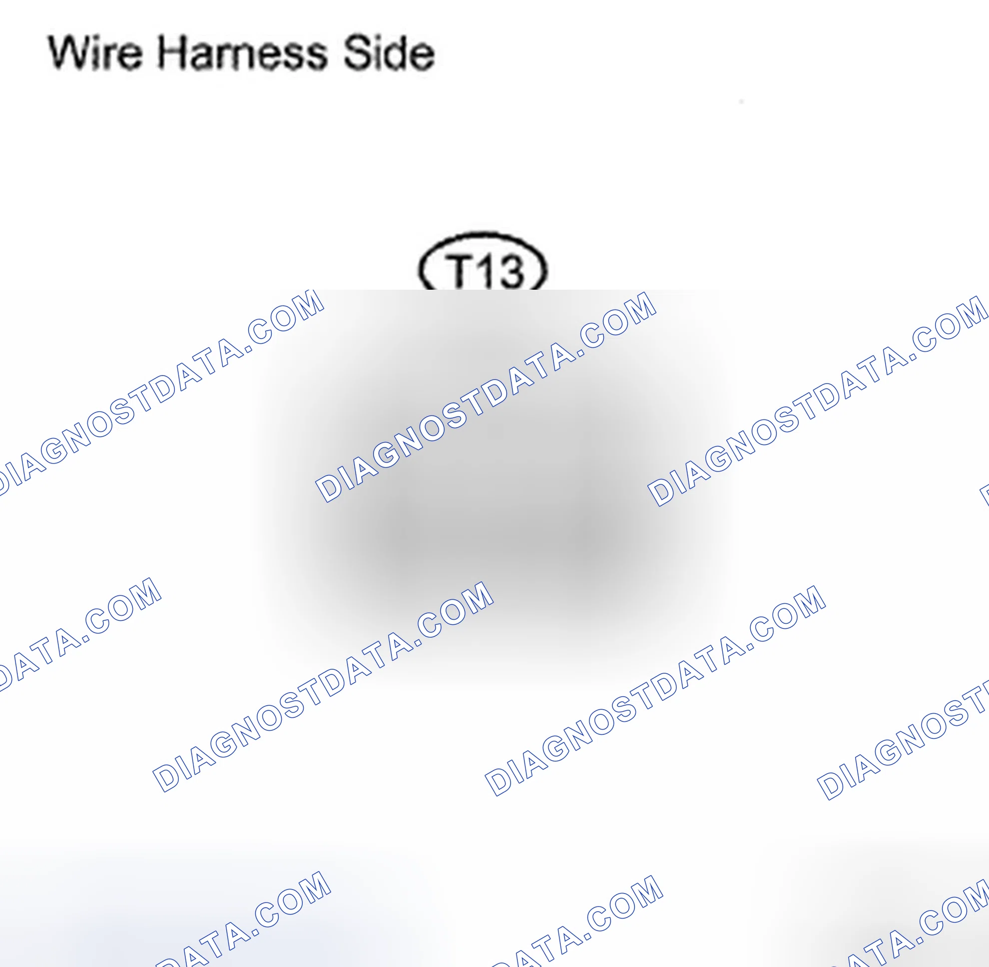 Scheme 14: INSPECTION PROCEDURE