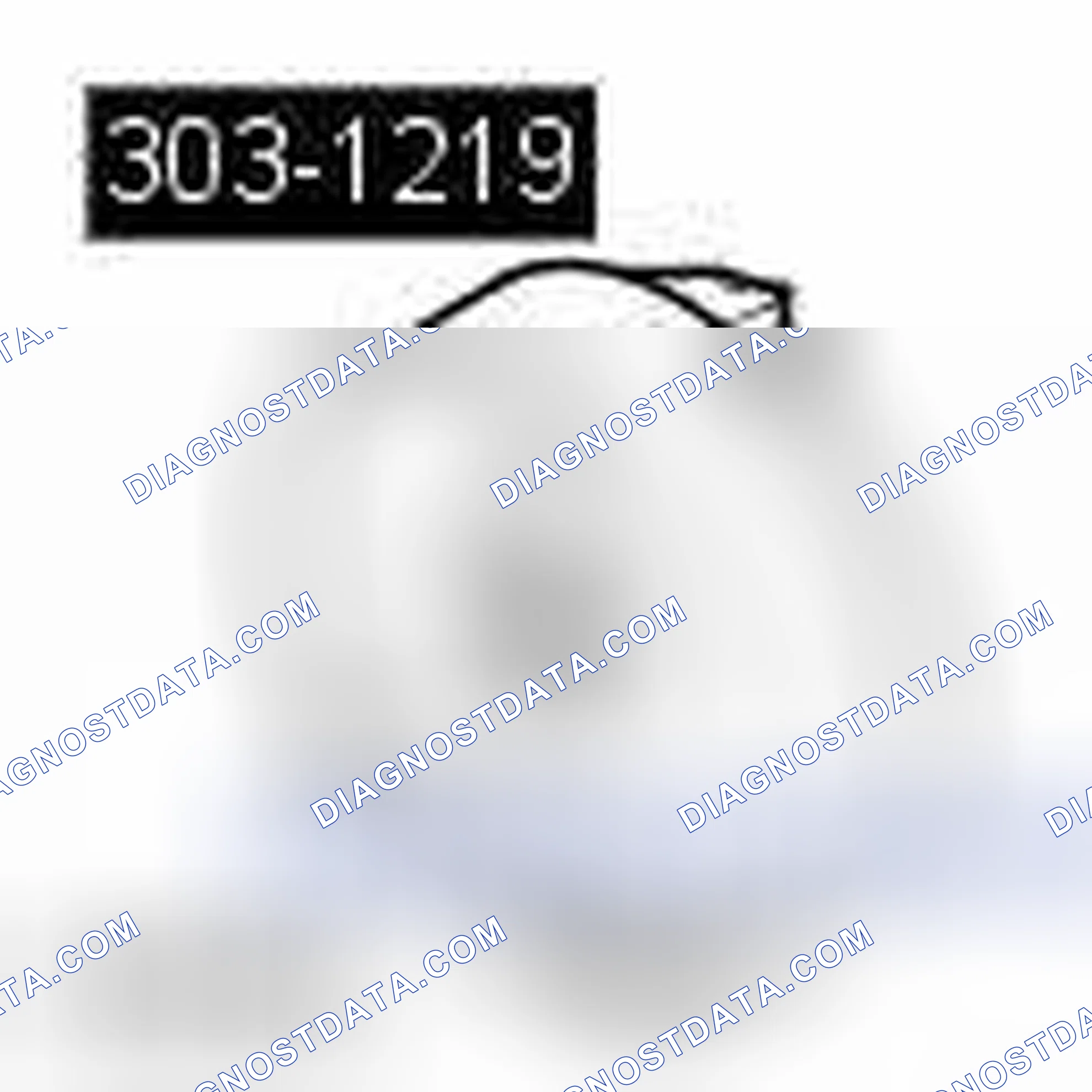 Scheme 207: TIMING CHAIN