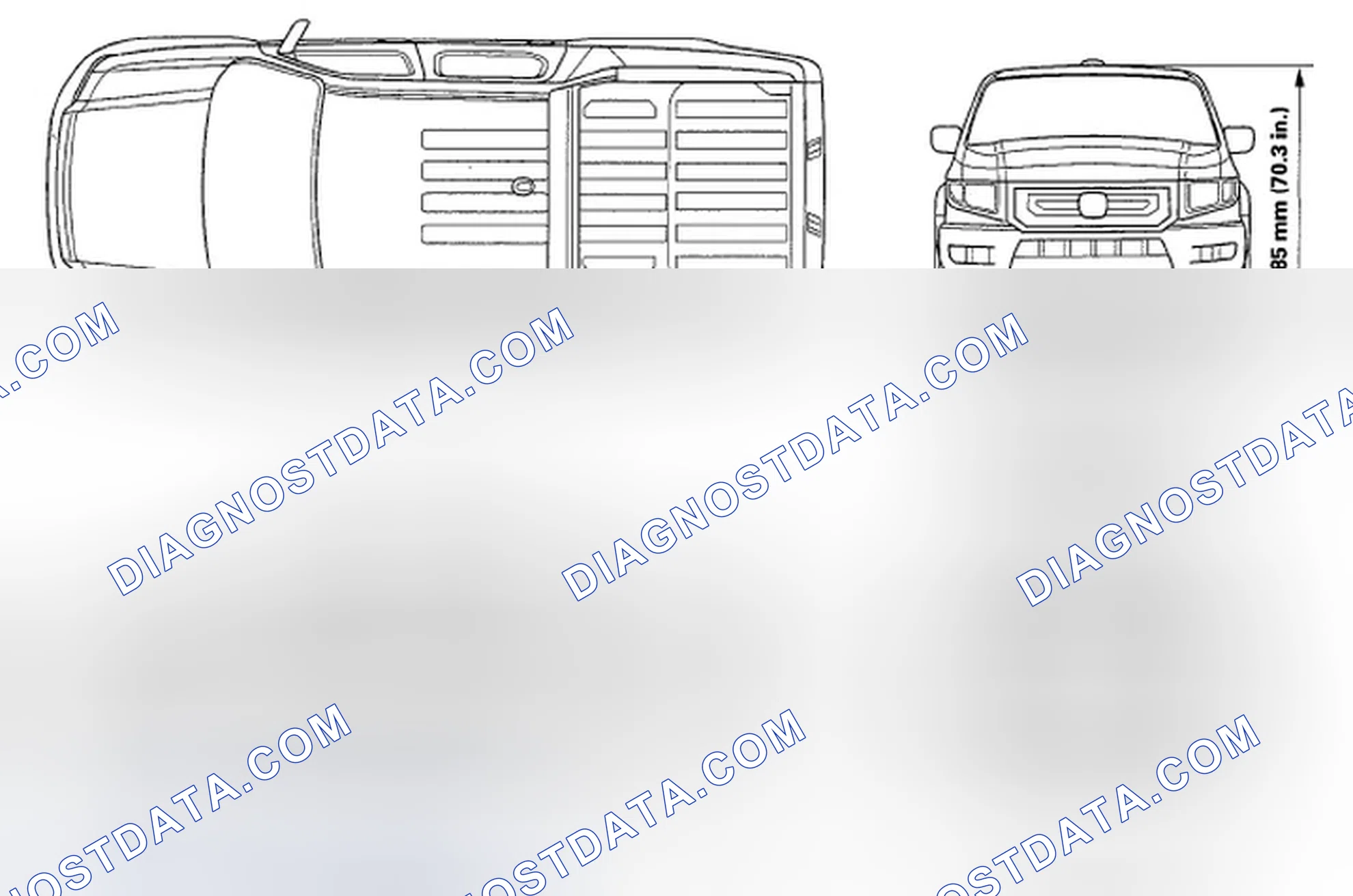 Scheme 1: Body Specifications