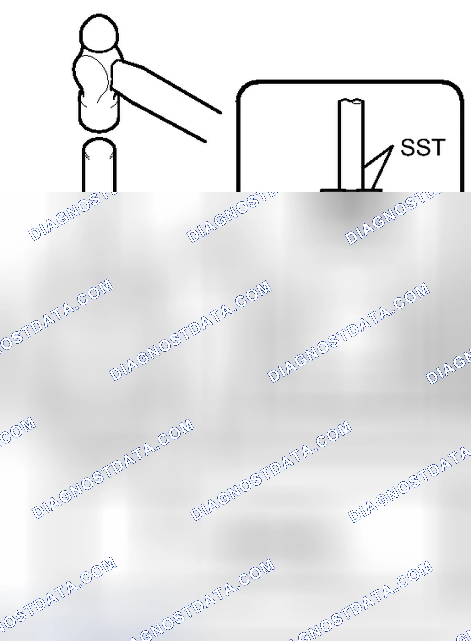 Scheme 123