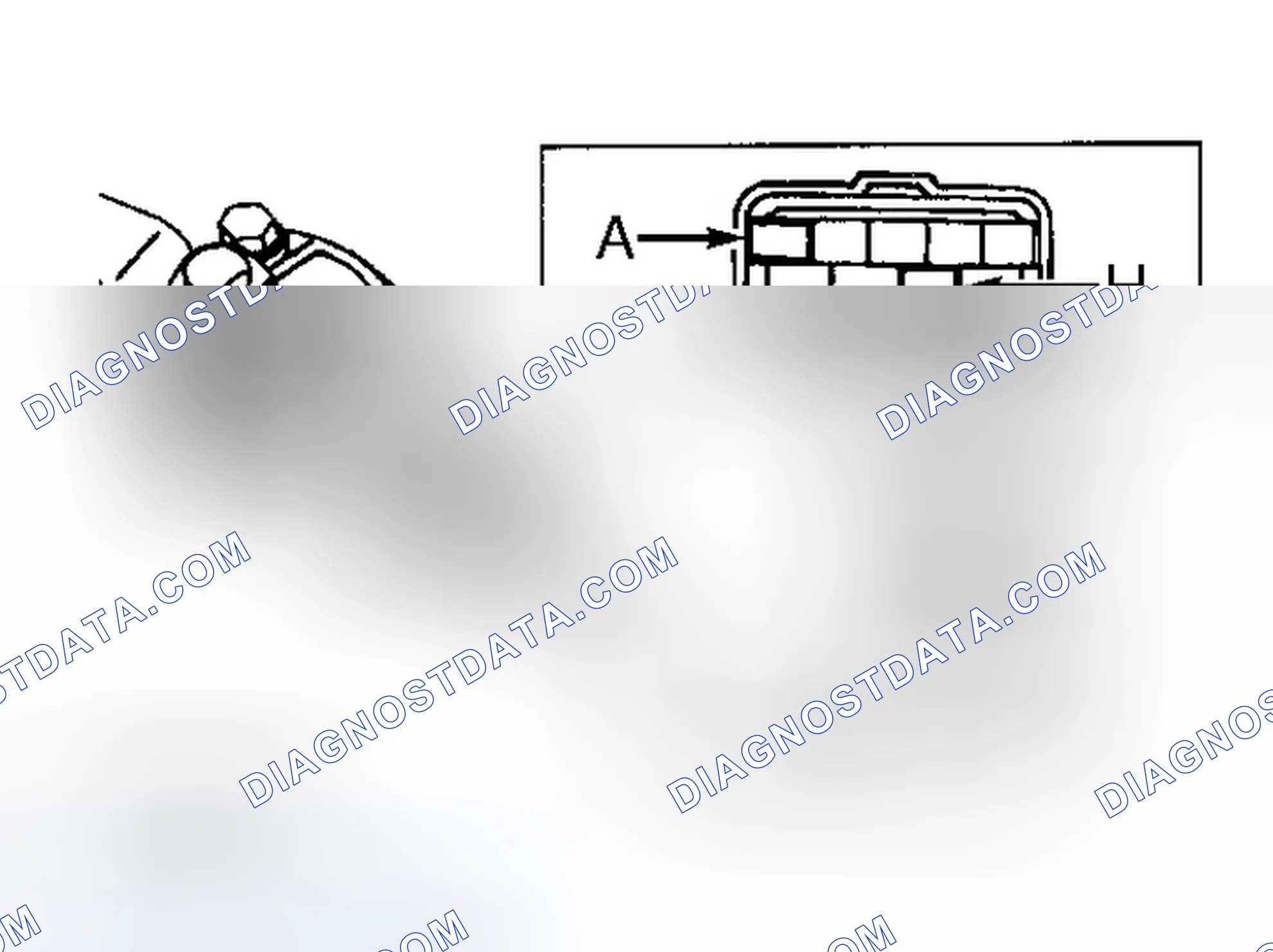 Scheme 5