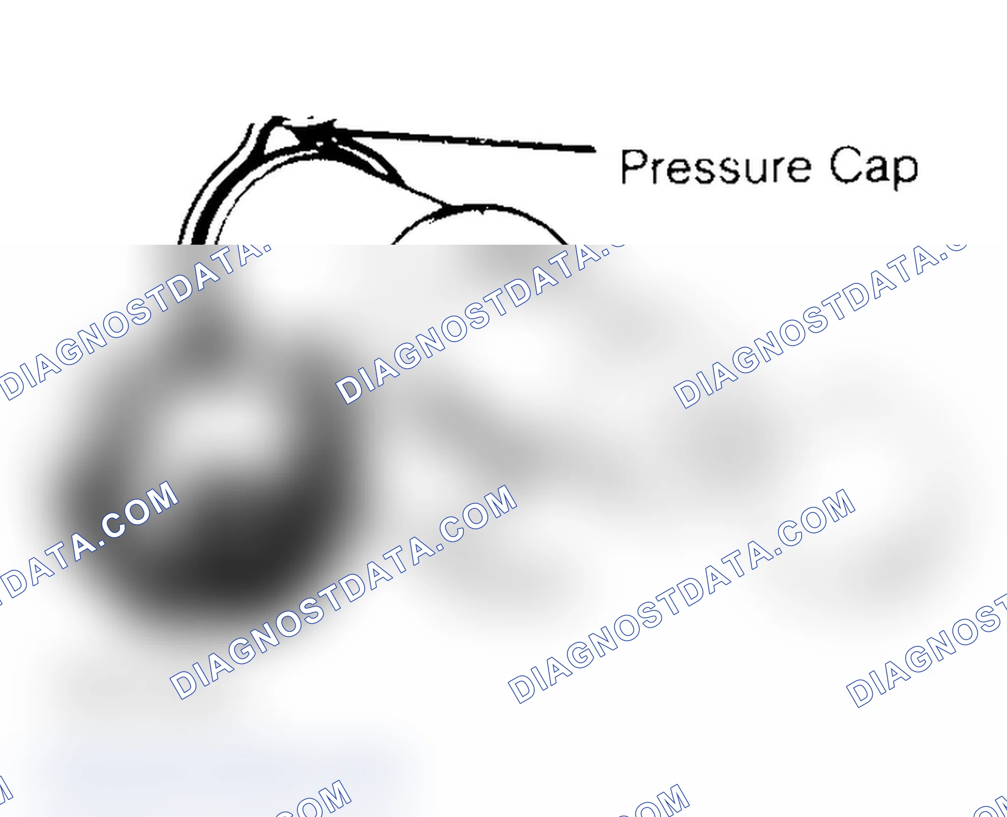 Scheme 2: Pressure Testing Radiator Cap
