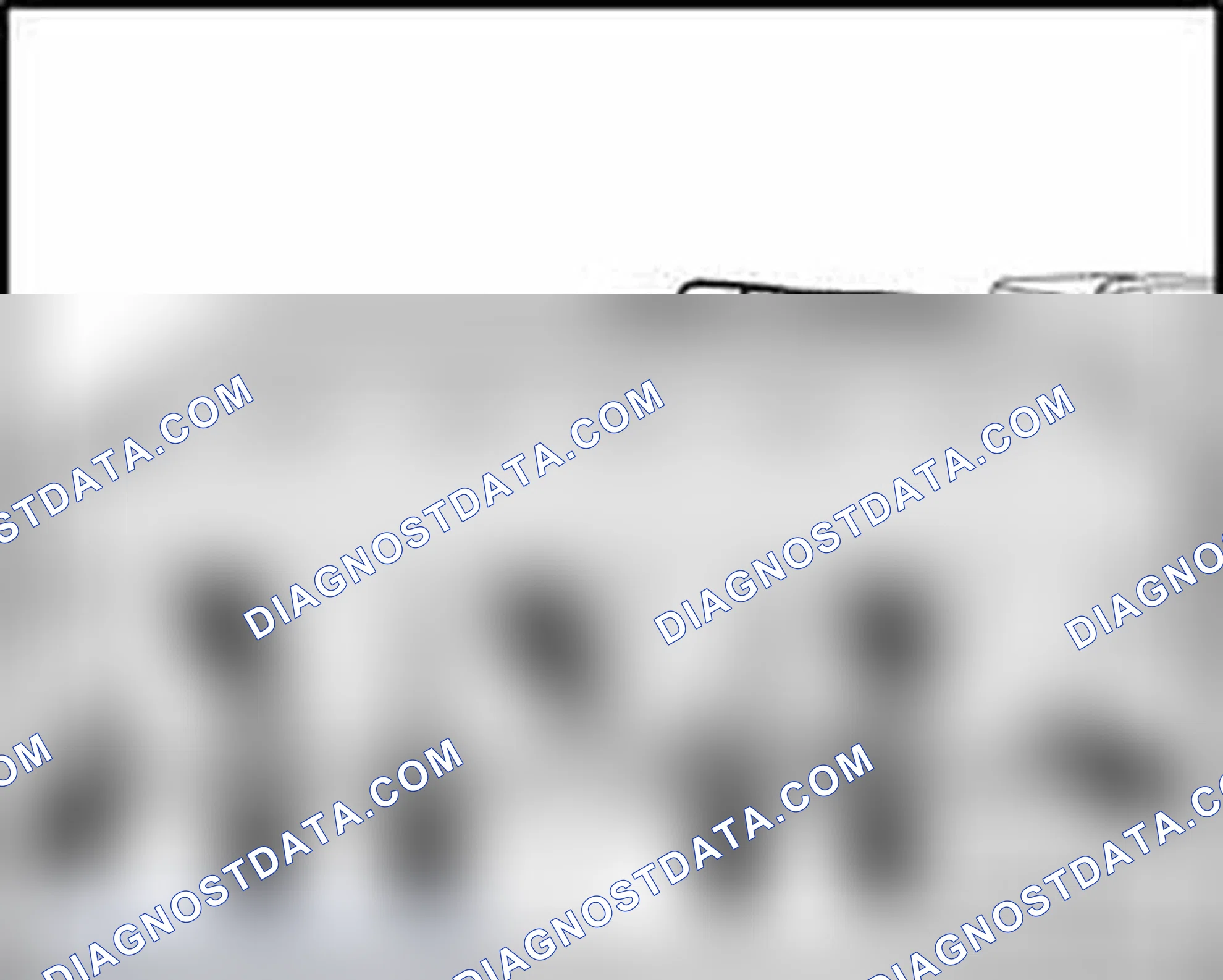 Scheme 243