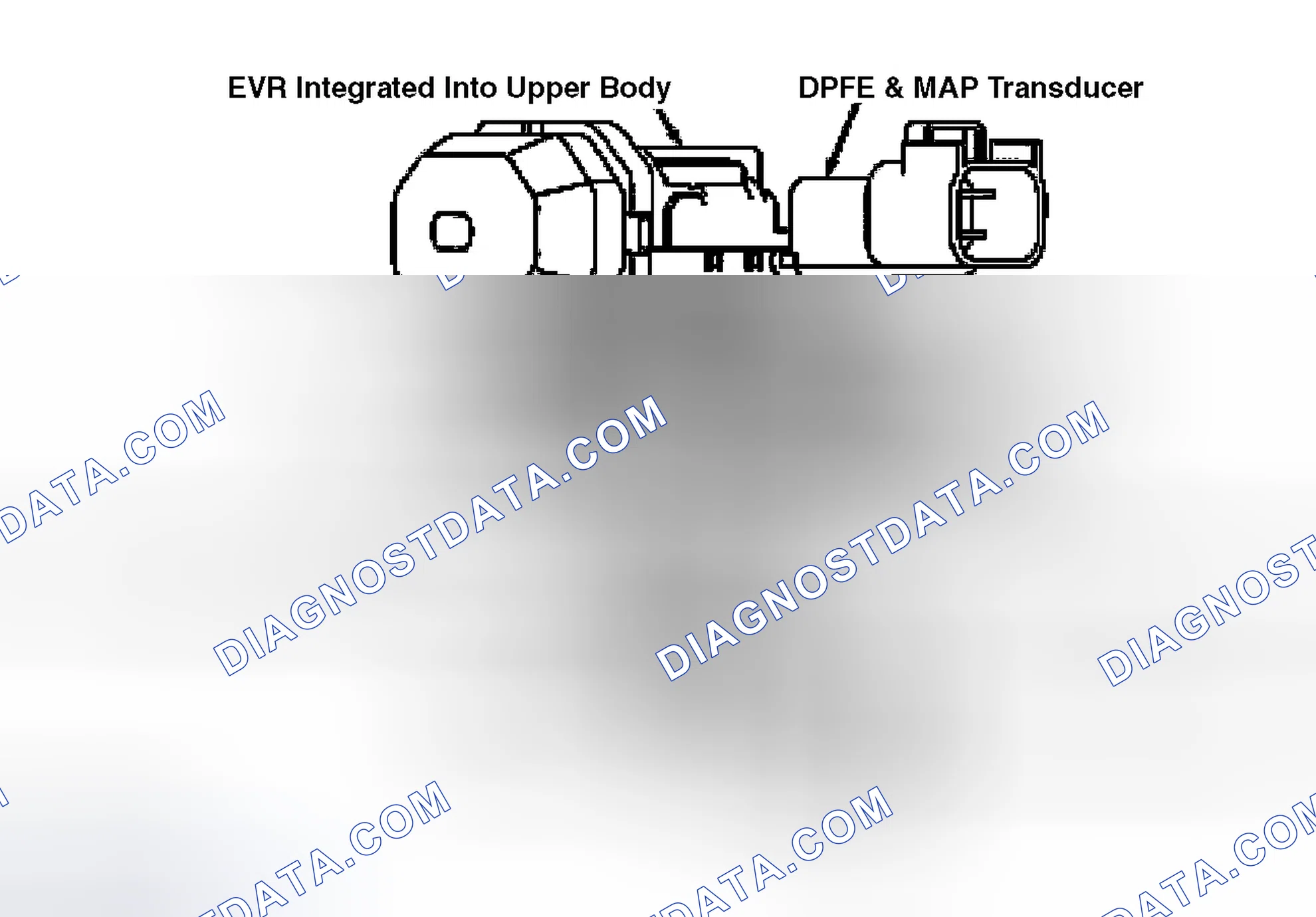 Scheme 5: Overview