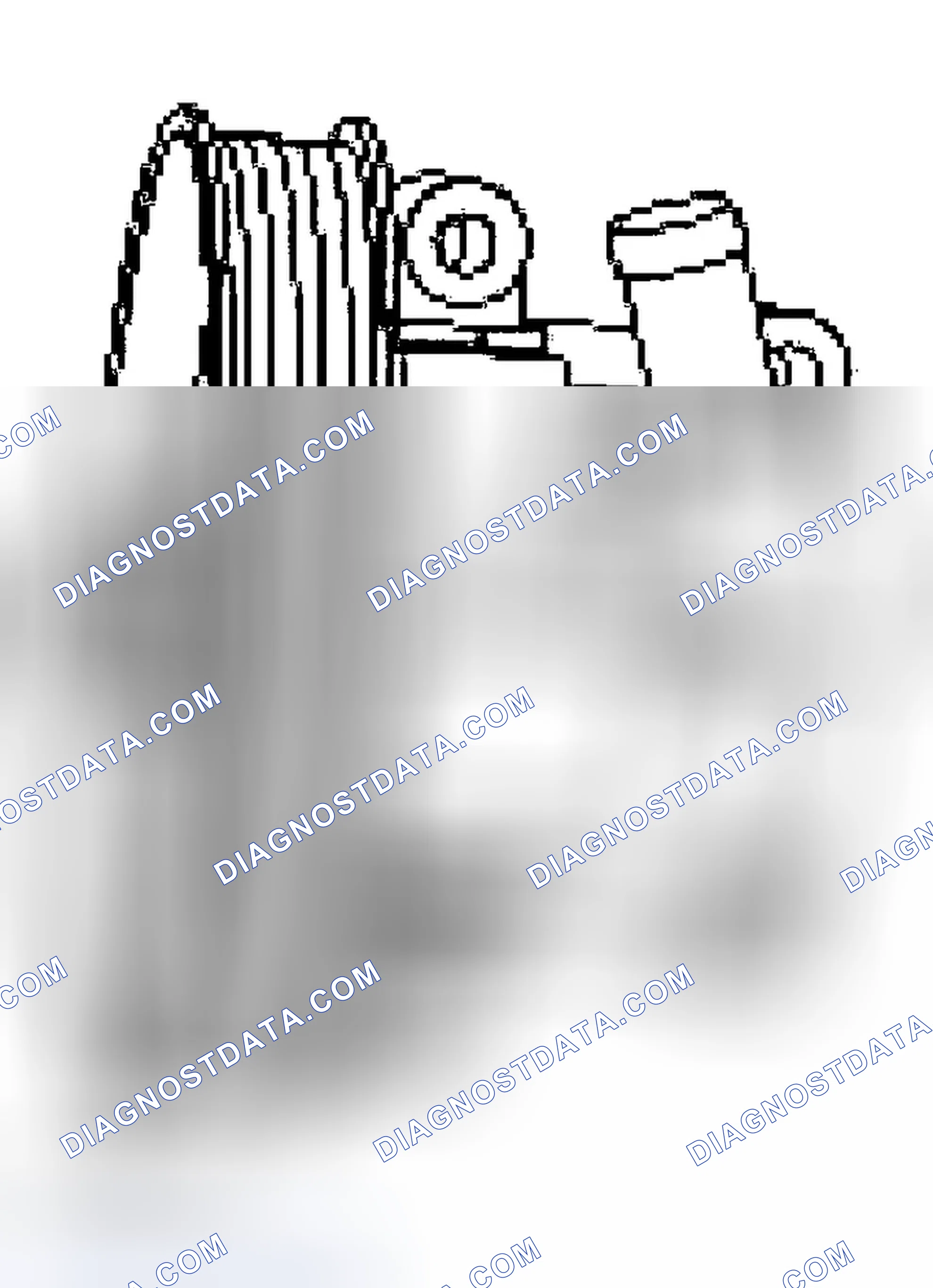 Scheme 22: Power Steering Pump