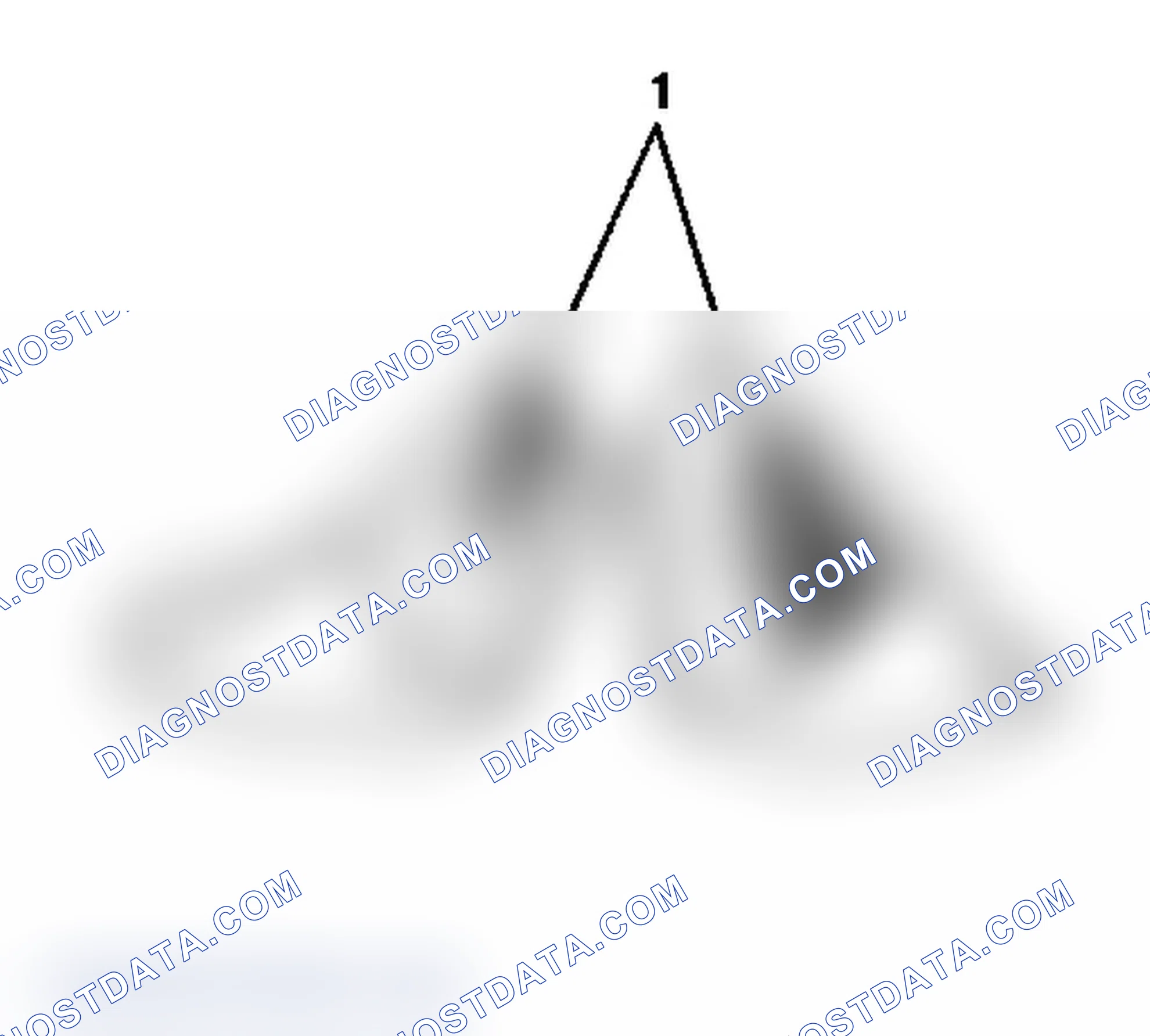 Scheme 81: Drive Side Toe - Coast Side Heel Contact Pattern