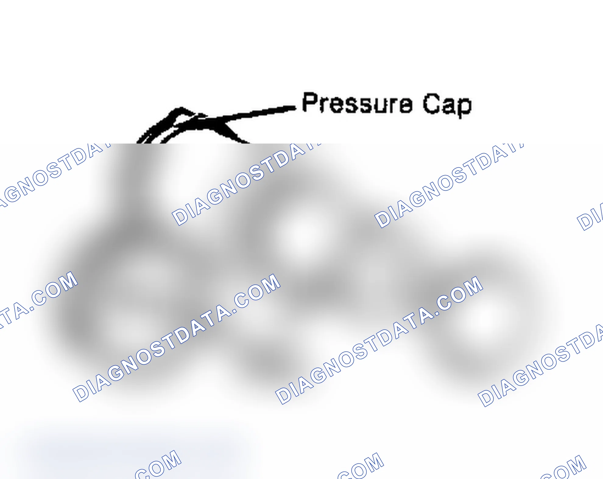 Scheme 4: Testing Radiator Pressure Cap Wet cap gasket before testing.