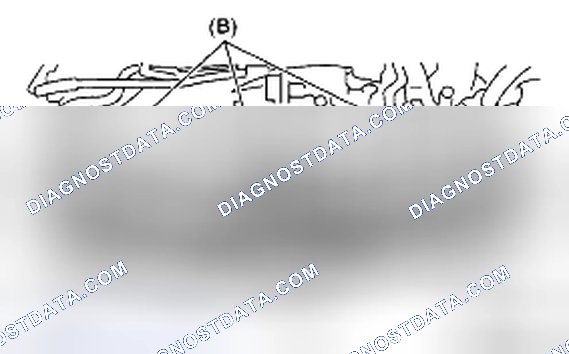 Scheme 107