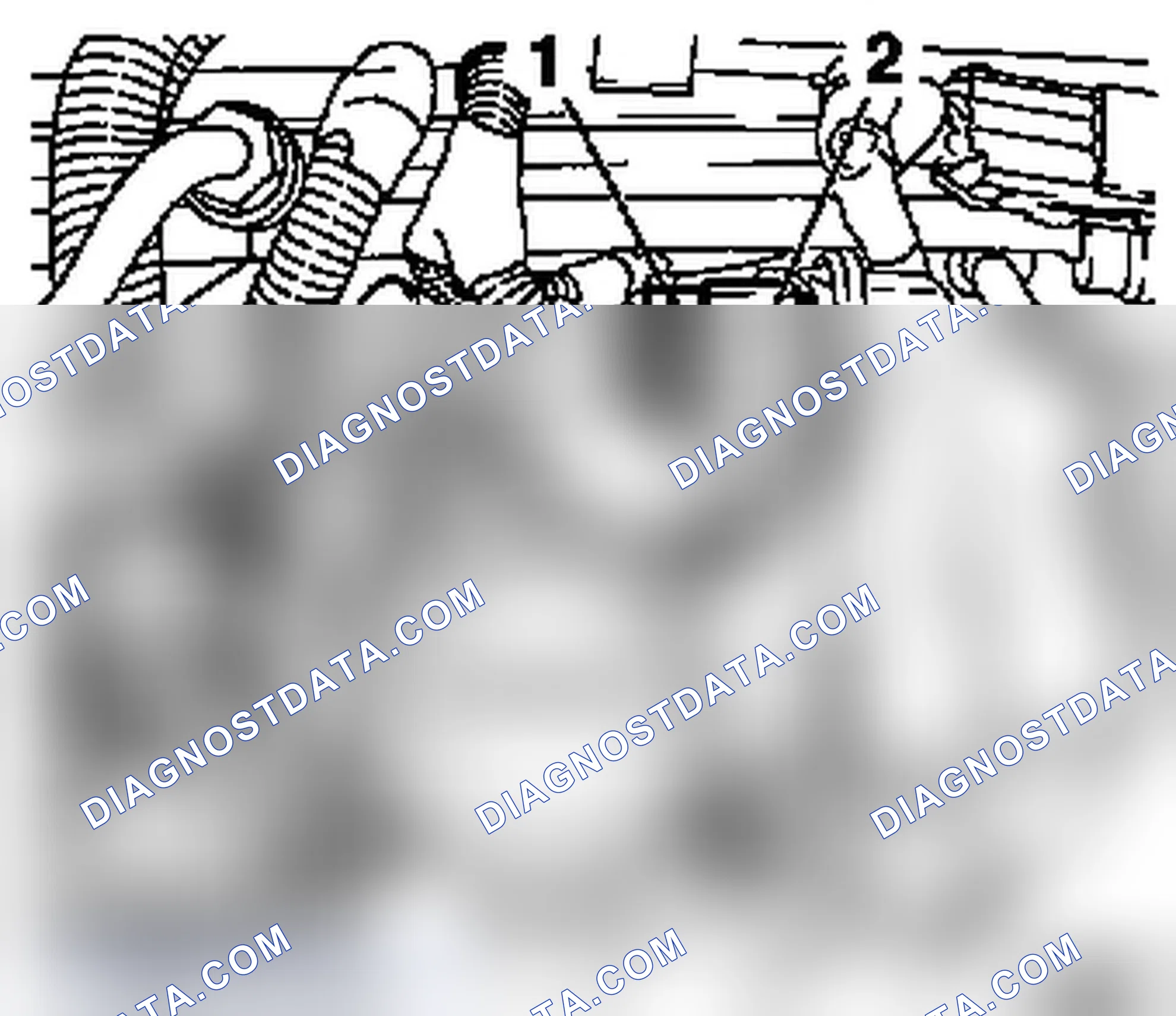 Check Compression (Z 22 SE)