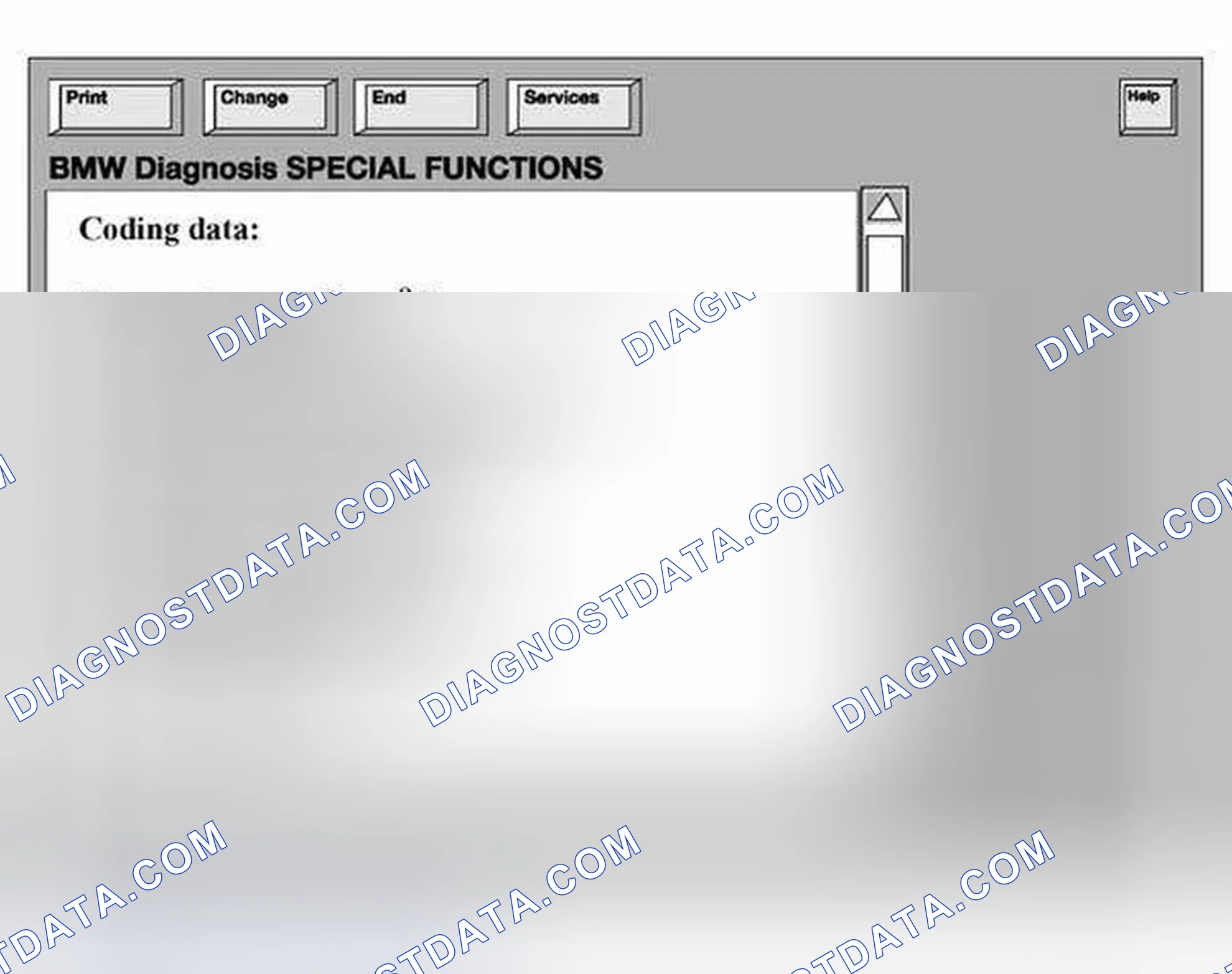 Scheme 22: BMW Diagnosis Coding Data Display