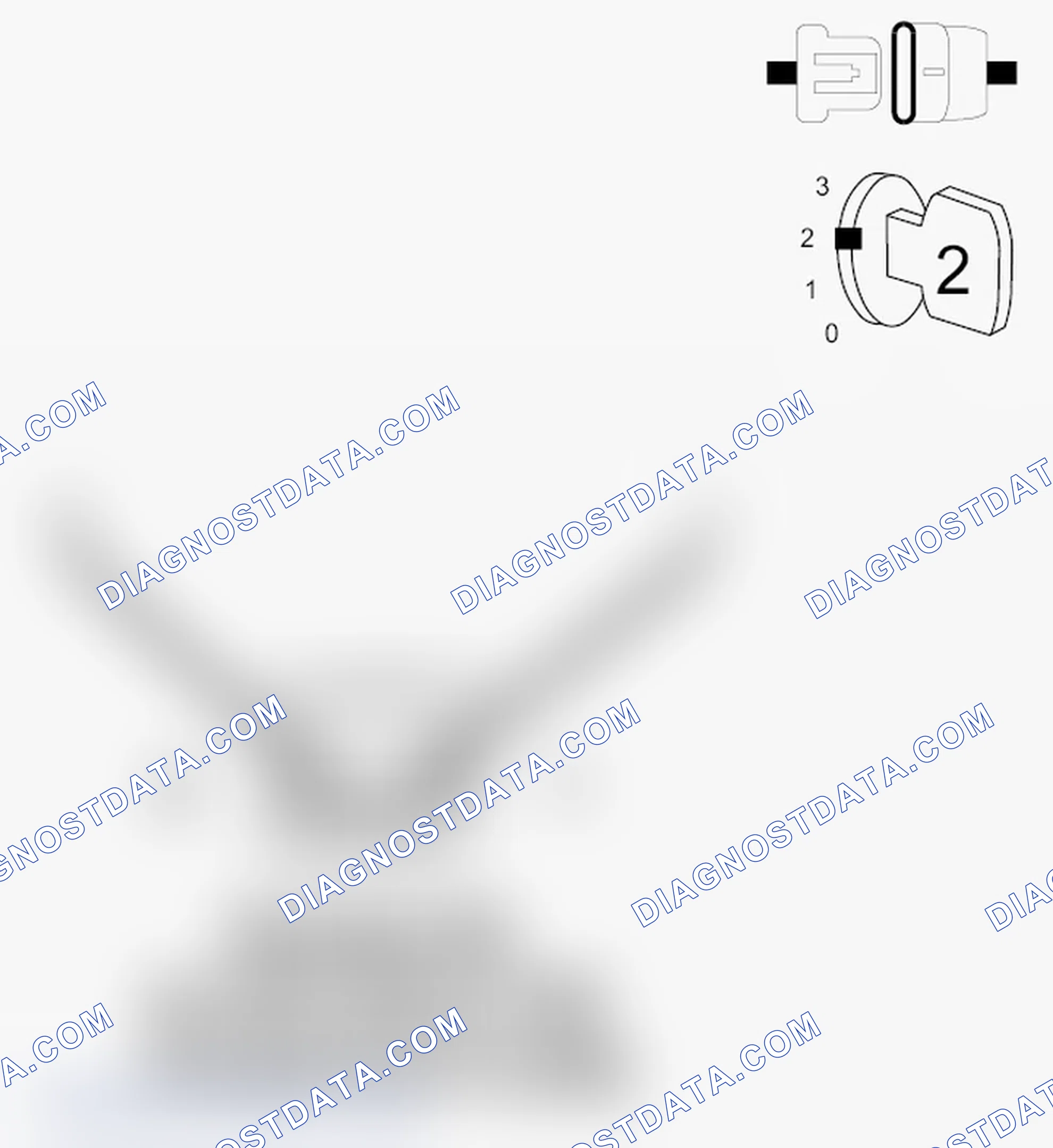 Scheme 5: DIAGNOSTIC TEST