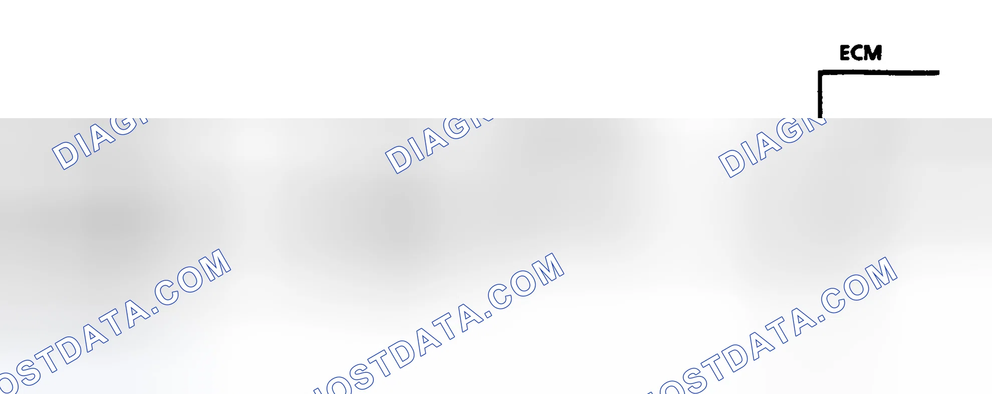 Scheme 99: Code 24 Schematic (3.1L) Vehicle Speed Sensor