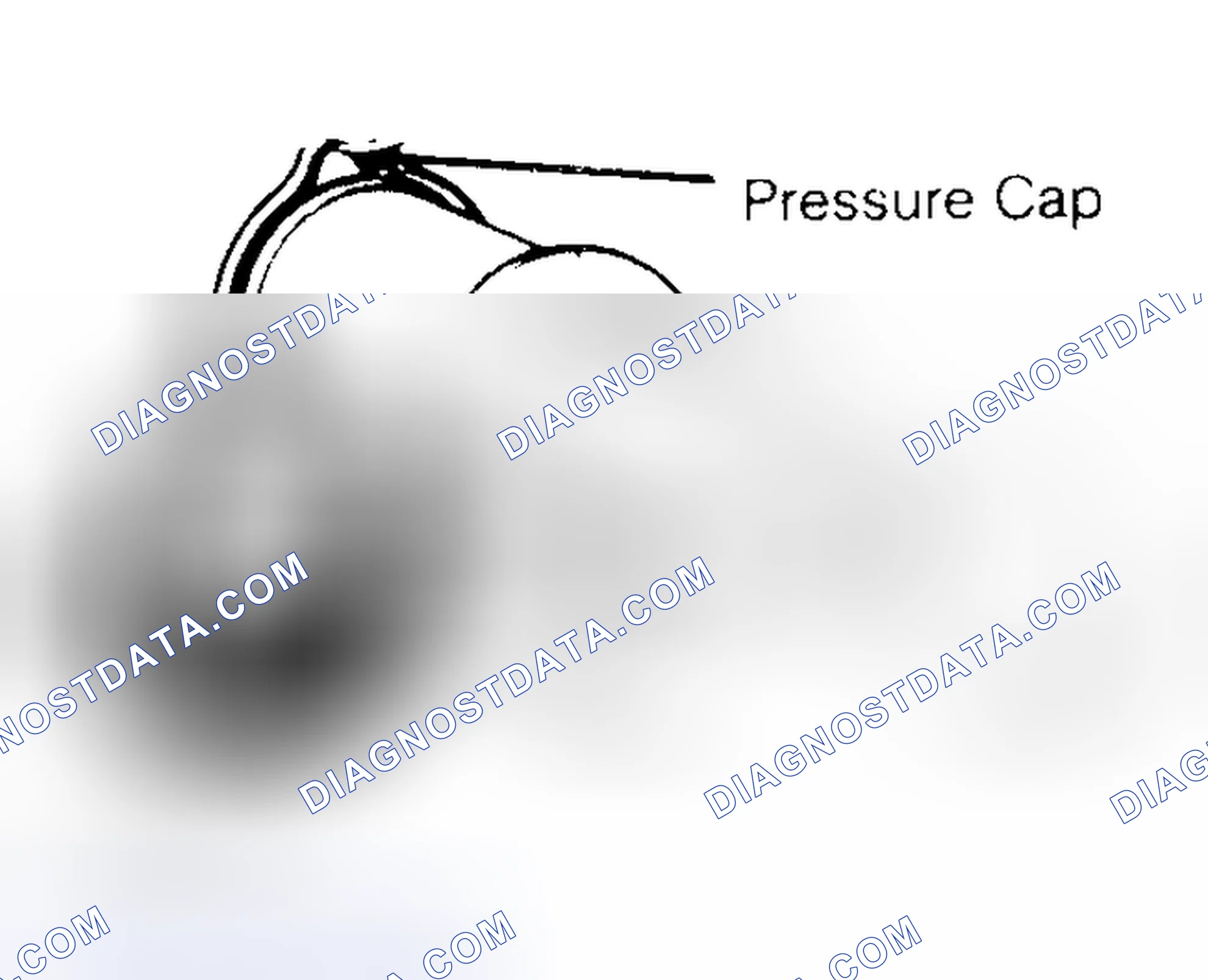Scheme 2: Pressure Testing Radiator Cap