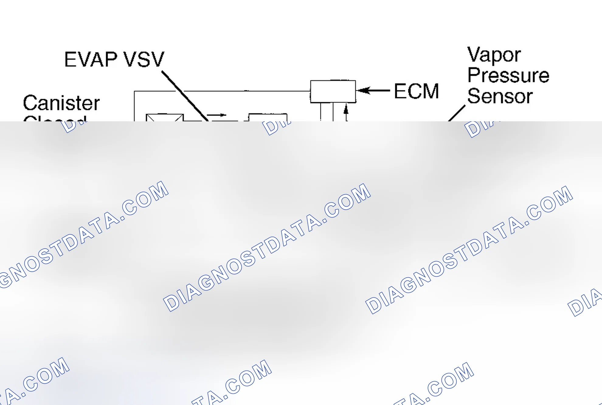 Scheme 51: Vapor Pressure Sensor (Avalon, Camry, Camry Solara, Celica, Corolla, Highlander, MR2, RAV4, Sequoia,